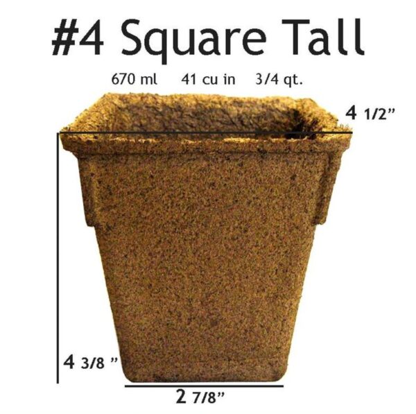 #4 Square Tall Pot - 24 pots