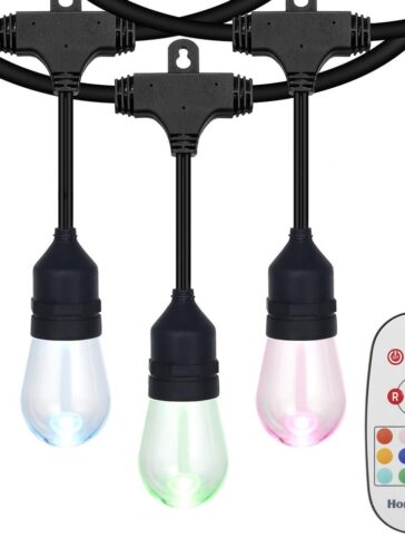 8 Blubs 24 ft. Outdoor/Indoor Plug-in LED Edison String Light Color Changing Set with Remote Control