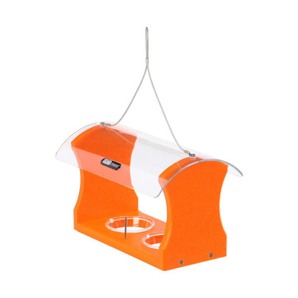 Birds Choice Recycled Oriole Bird Feeder for Oranges and Jelly