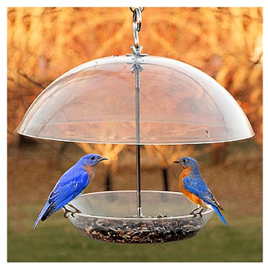 Woodlink NABBFDR Dome Top Seed & Bluebird Bird Feeder