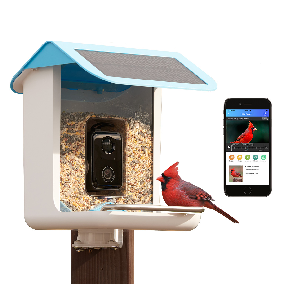 Video Camera Bird Feeder by Sharper Image