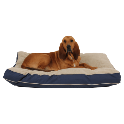 Carolina Pet 4-Season Jamison Rectangular Pet Bed with Cashmere Berber Top - Blue W/Khaki Cording - Small