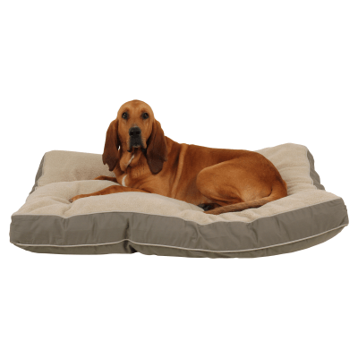 Carolina Pet 4-Season Jamison Rectangular Pet Bed with Cashmere Berber Top - Sage W/Khaki Cording - Medium