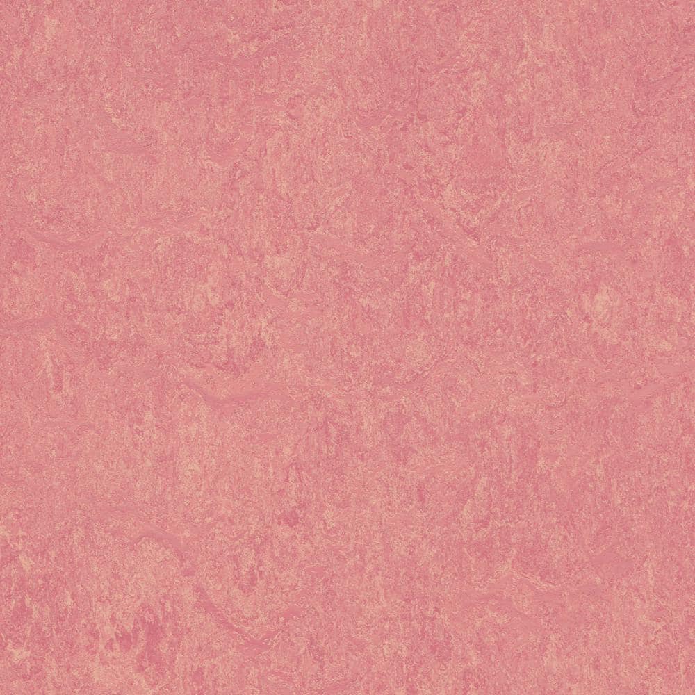 Cinch Loc Seal Honey Suckle 9.8 mm T x 11.81 in. W x 35.43 in. L Laminate Flooring (20.34 sq. ft./case)