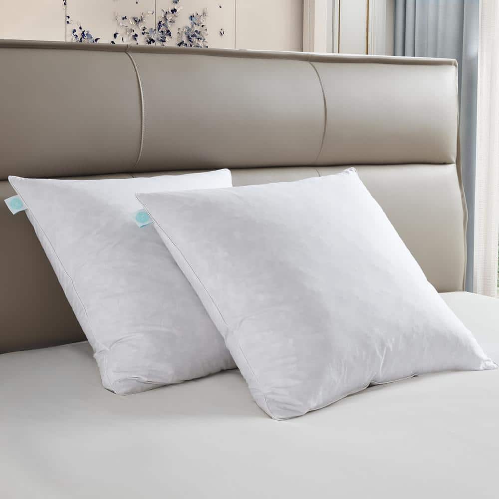 100% Cotton Decorative Feather Medium Firm Pillow Insert (2-Pack)