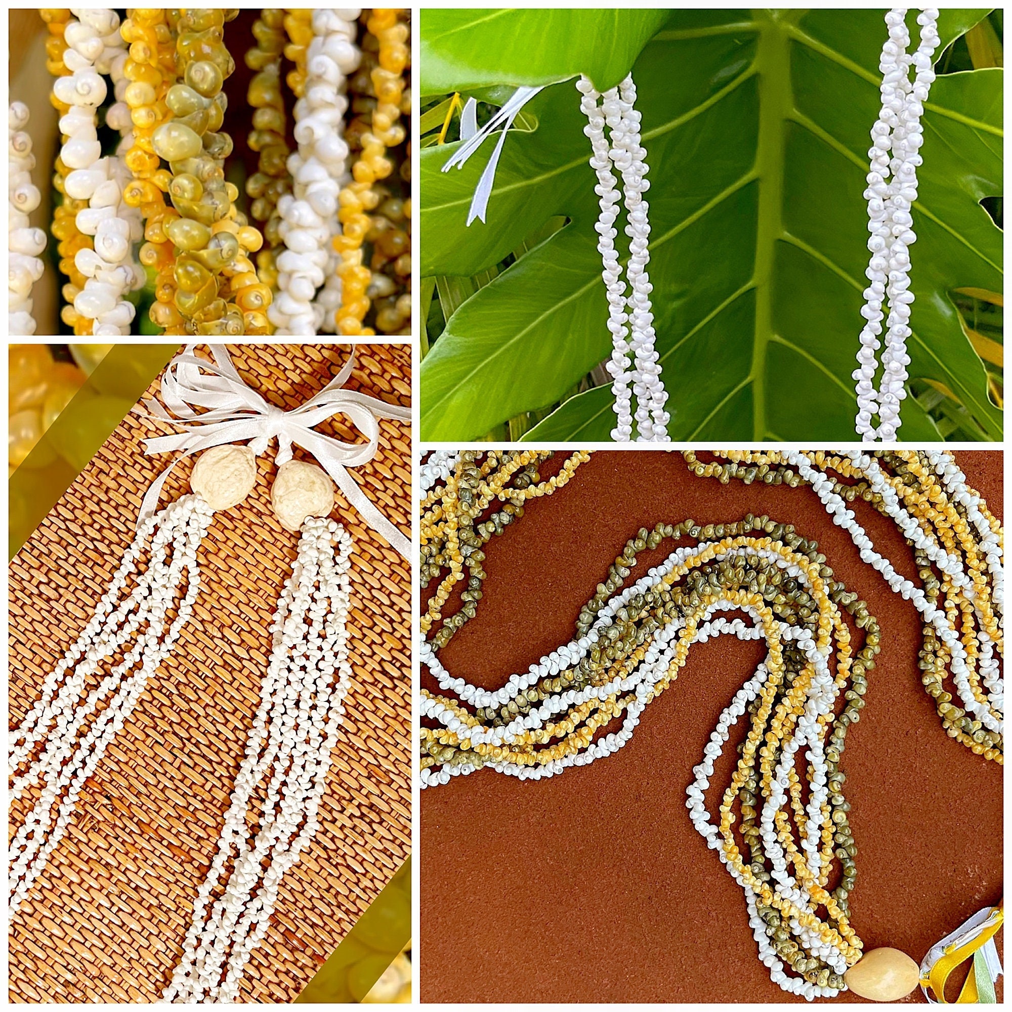 Da Hawaiian Store Class Of 2025 Mongo Sea Shell Lei Necklace | Choose Color & Size