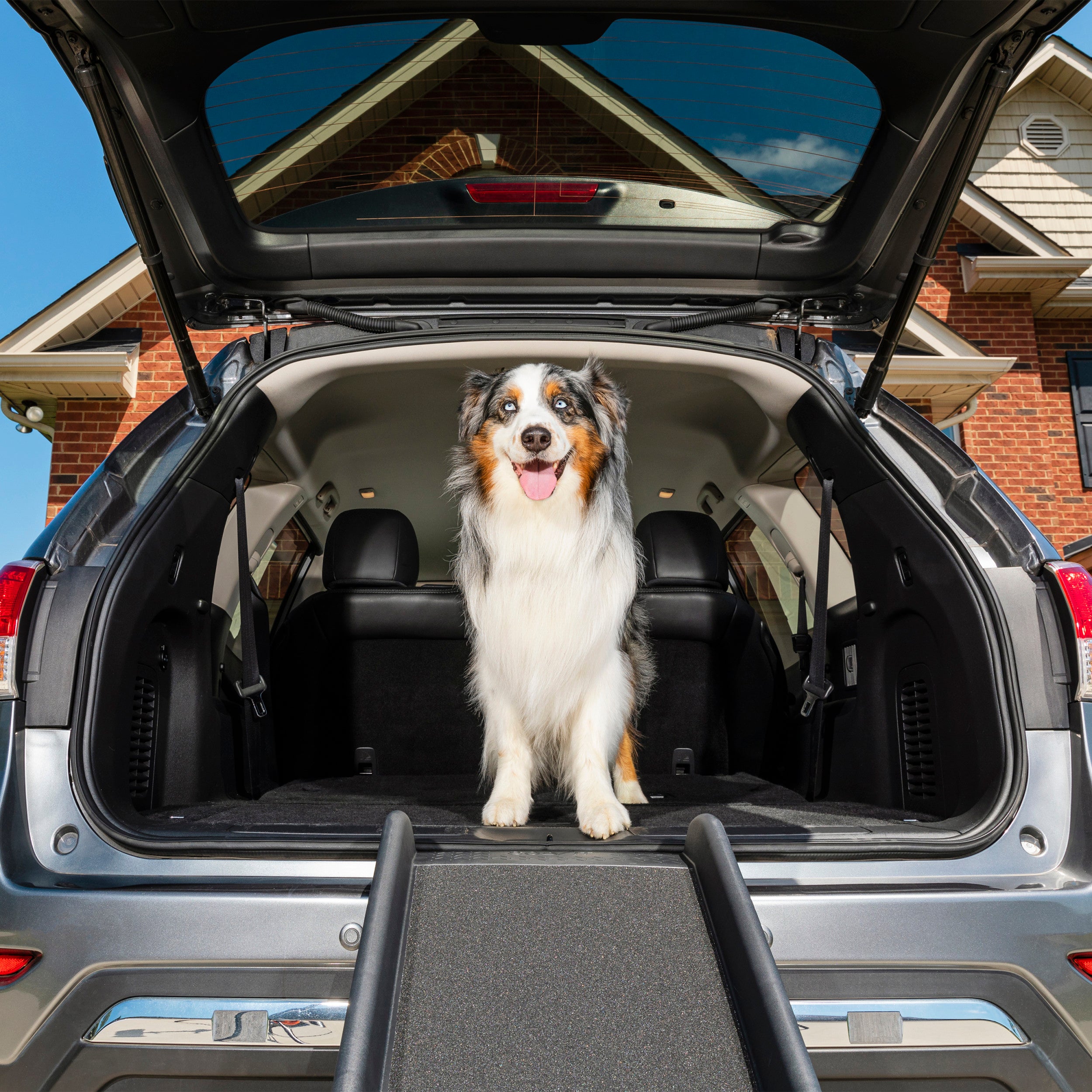 Happy Ride® Folding Dog Ramp