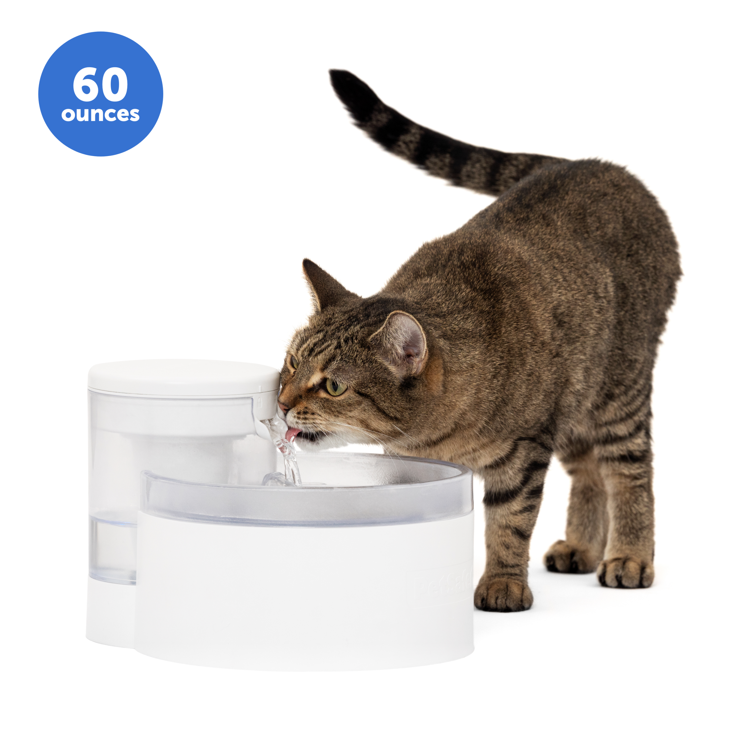 Outlastâ?¢ Cat Fountain, 60 oz