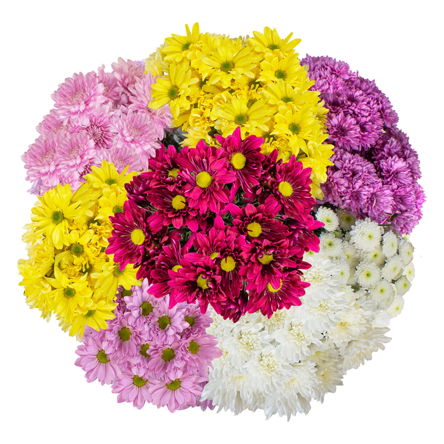 This assortment includes beautiful cushion, daisy and novelty pompons in lavender, white and yellow.:- Mixed