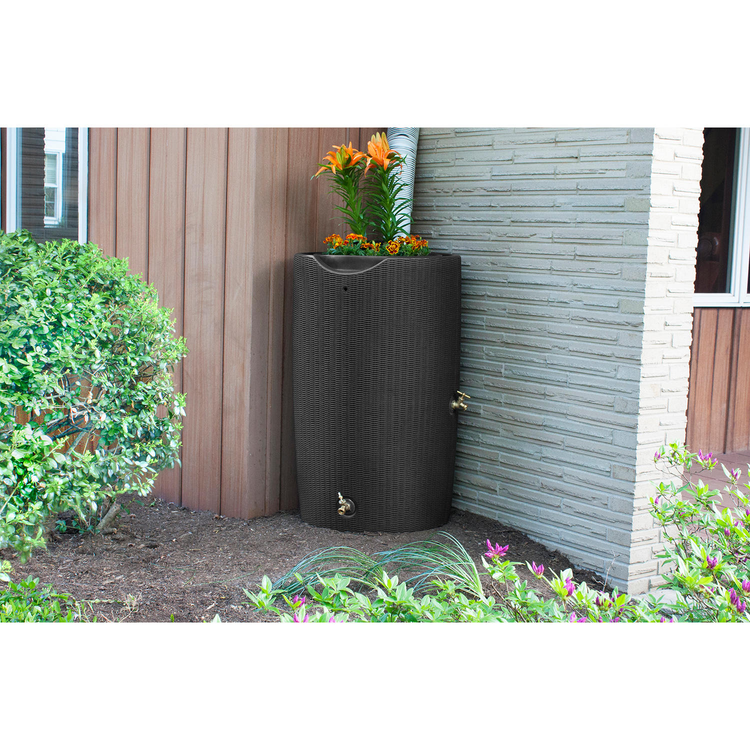 Impressions Bali 50 Gallon Rain Saver - Dark Brown
