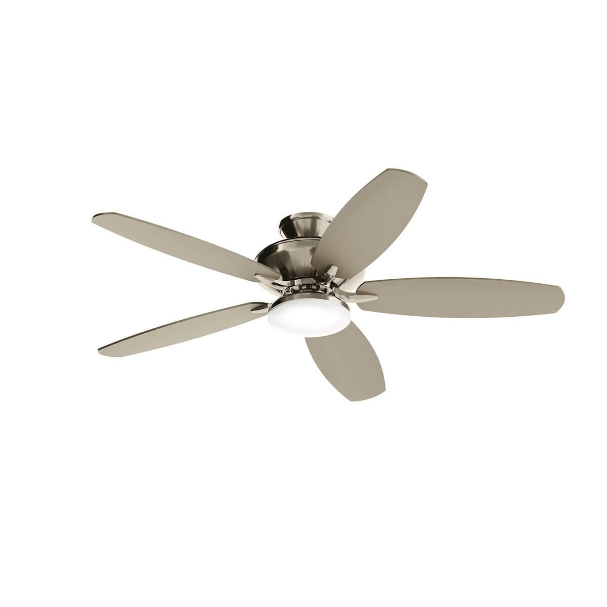 Renew Designer Indoor Ceiling Fan in Painted Brushed Nickel