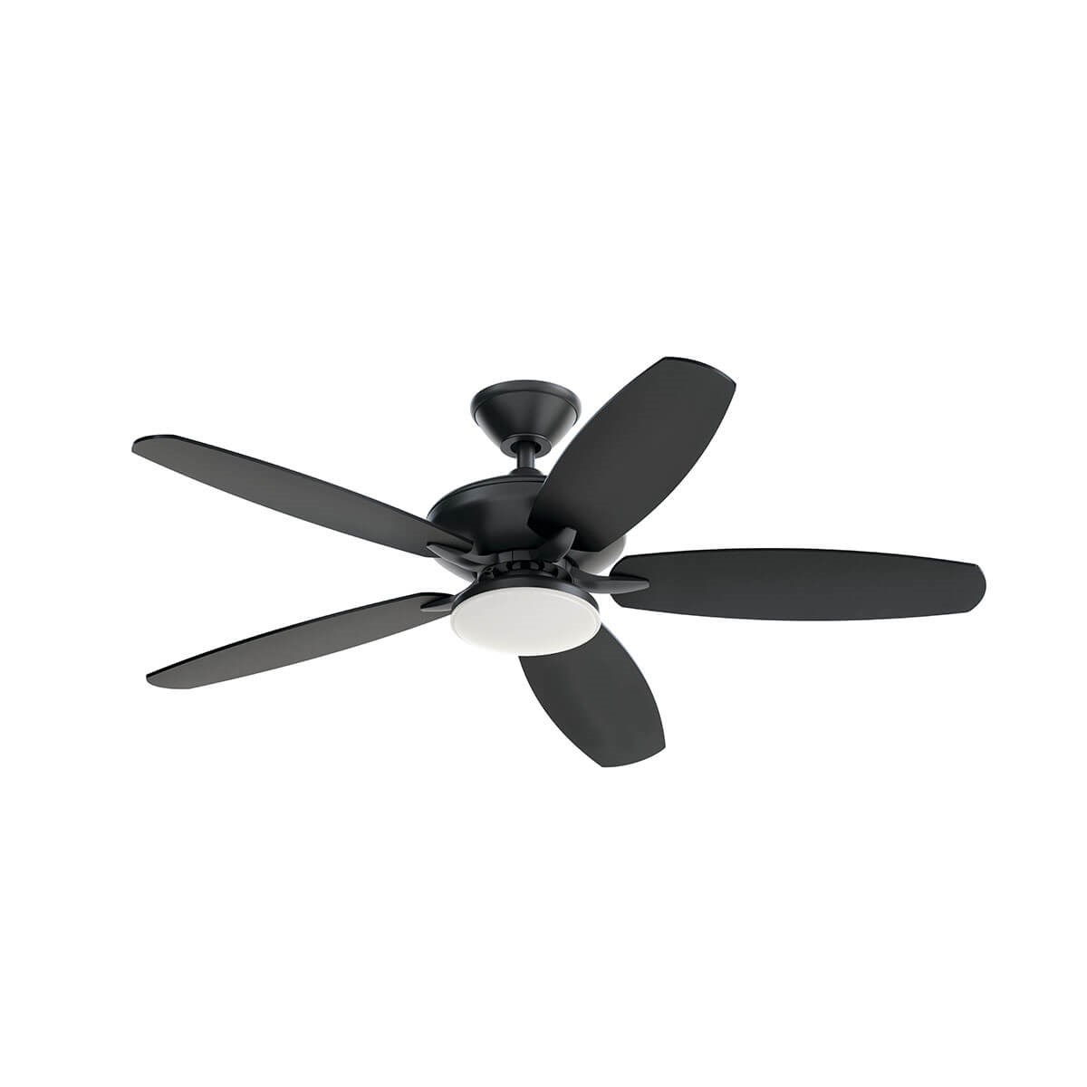 Renew Designer Indoor Ceiling Fan in Satin Black