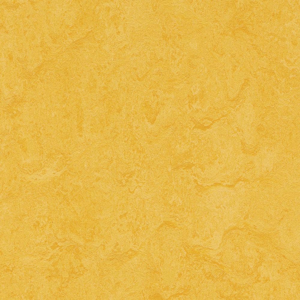 Cinch Loc Seal Lemon Zest 9.8 mm T x 11.81 in. W x 11.81 in. L Laminate Flooring (6.78 sq. ft./case)