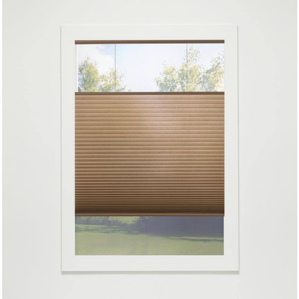 Latte Cordless Top-Down Bottom-Up Light Filtering Eco Polyester Cellular Shades - 56 in. W x 42 in. L