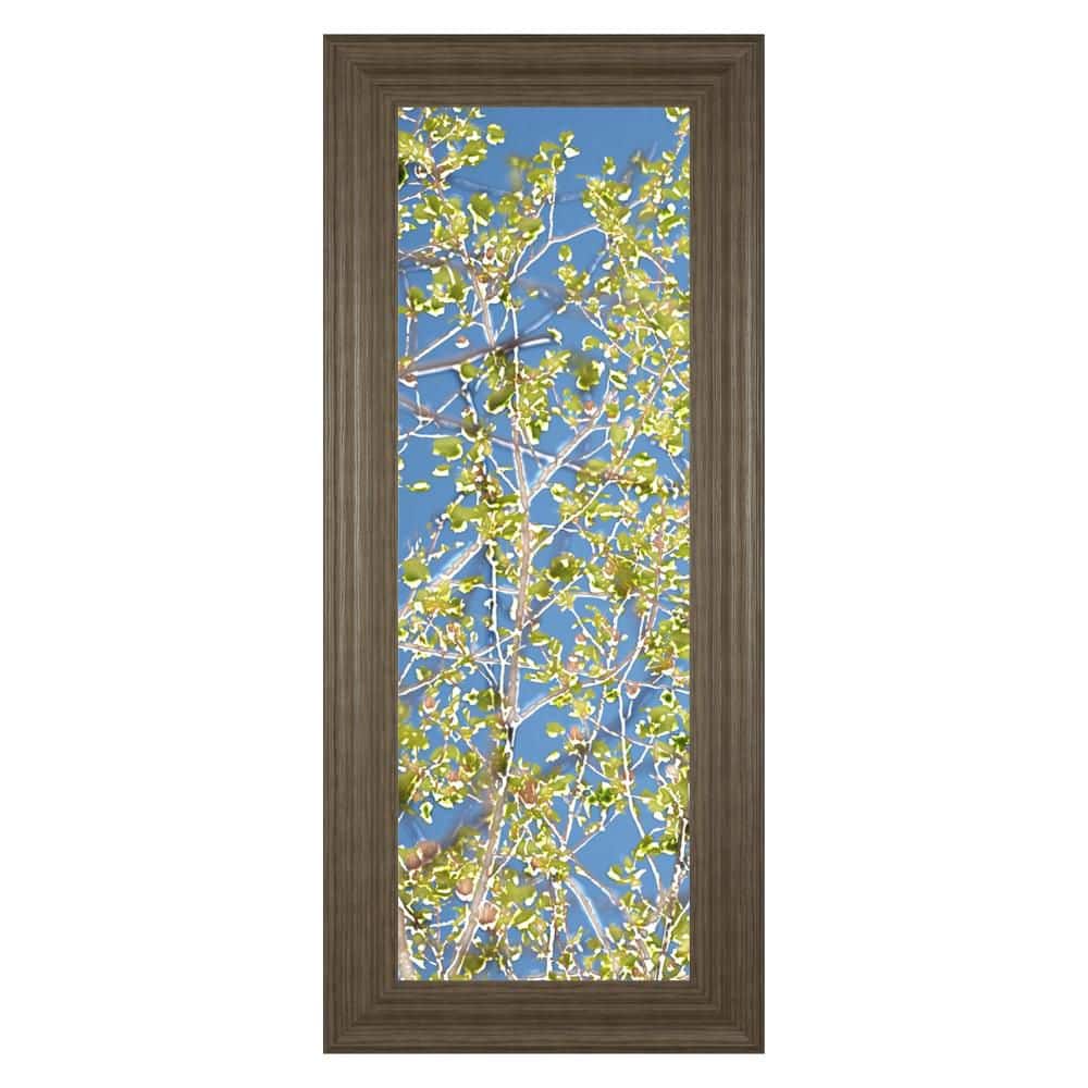 Spring Poplars I by Sharon Chandler Framed Print Wall Art 18 in. x 42 in.