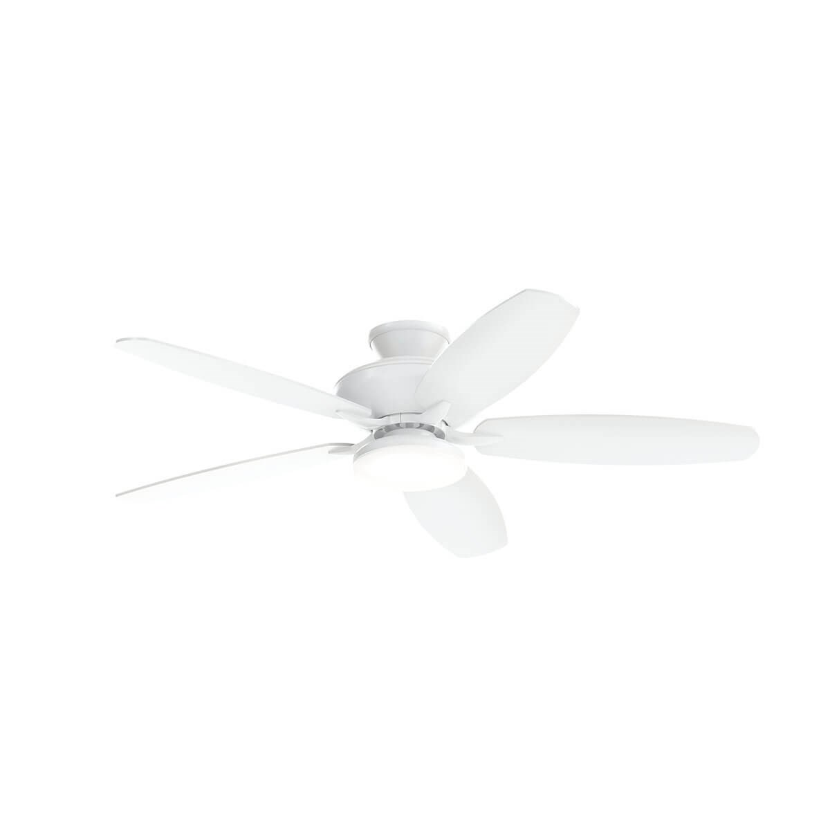 Renew Designer Indoor Ceiling Fan in Matte White