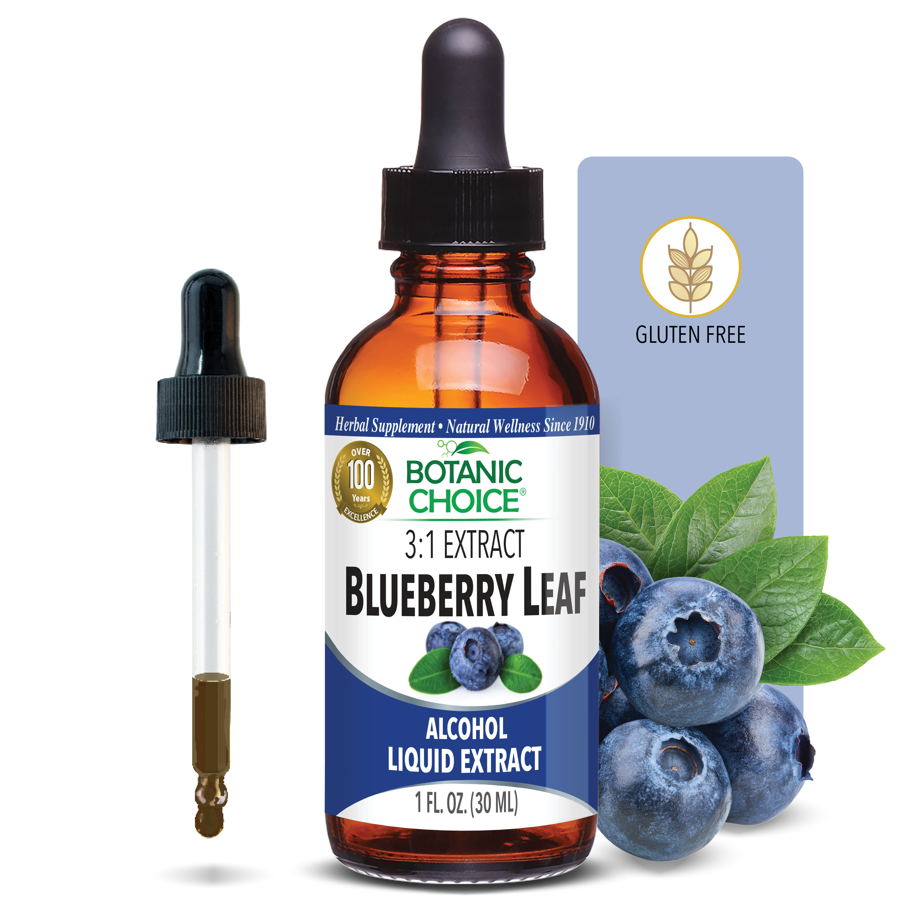 Blueberry Leaf Liquid Extract - 1 Oz