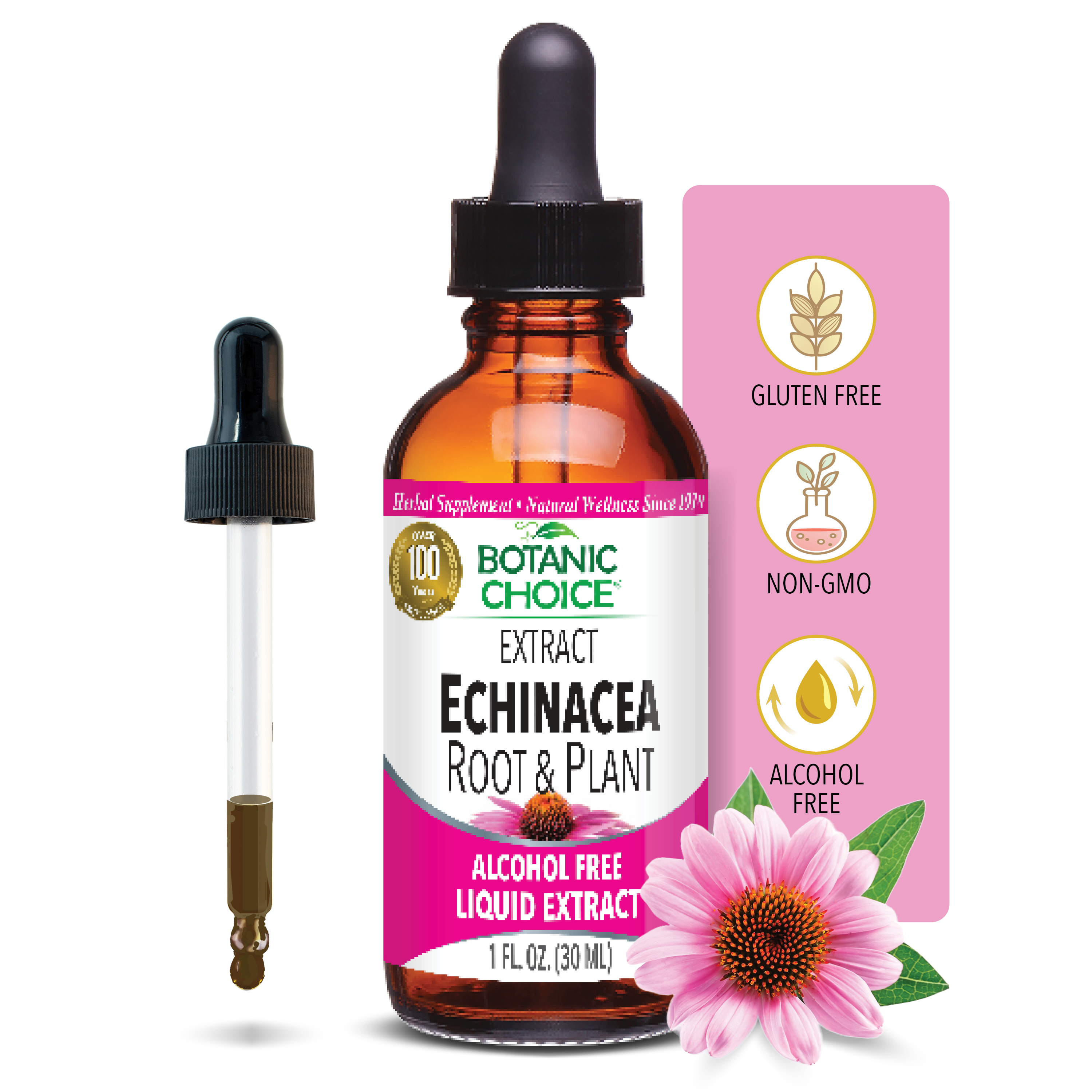 Echinacea Root & Plant - Immune System Support Supplement - 1 Oz