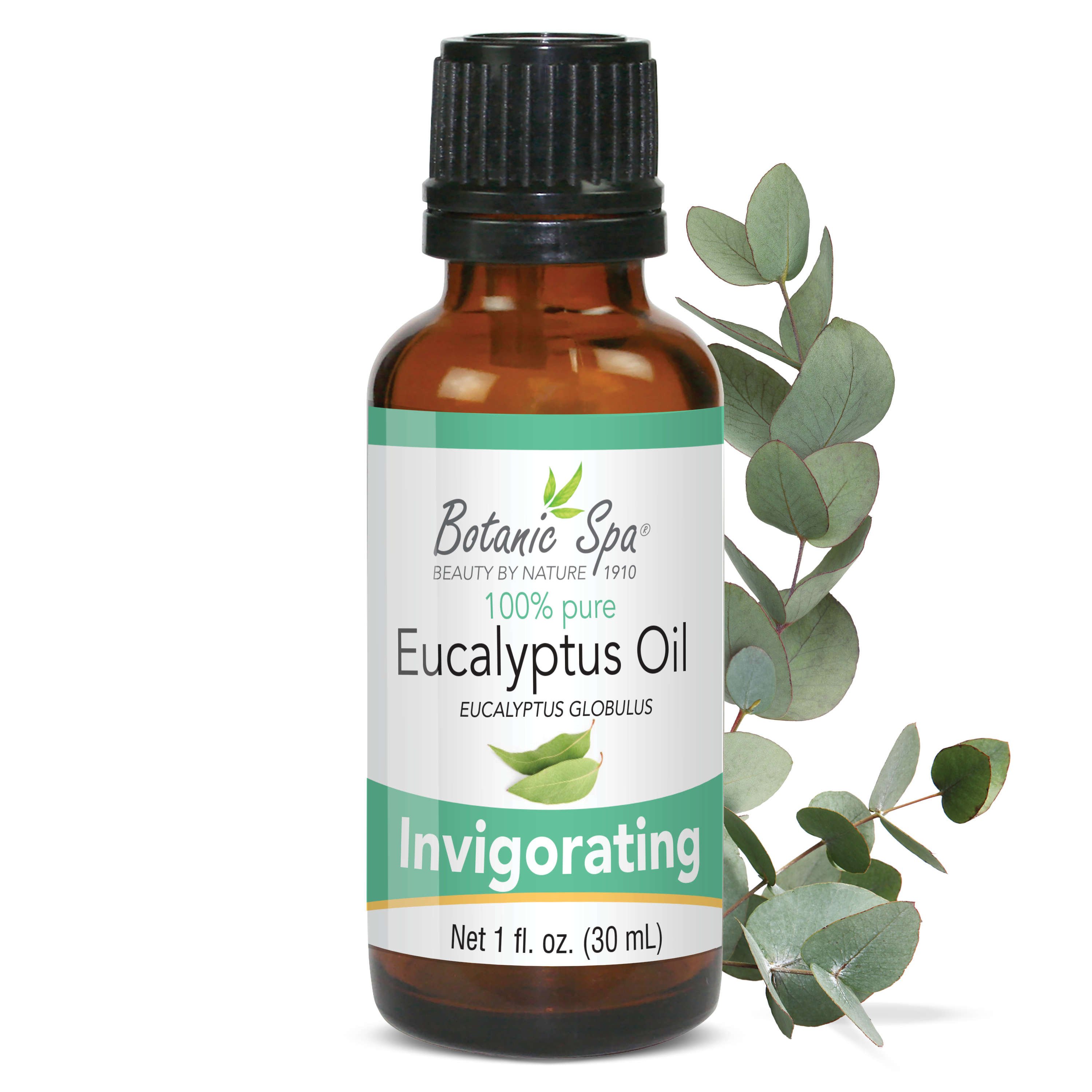 Eucalyptus Essential Aromatherapy and Body Oil - 1 Oz