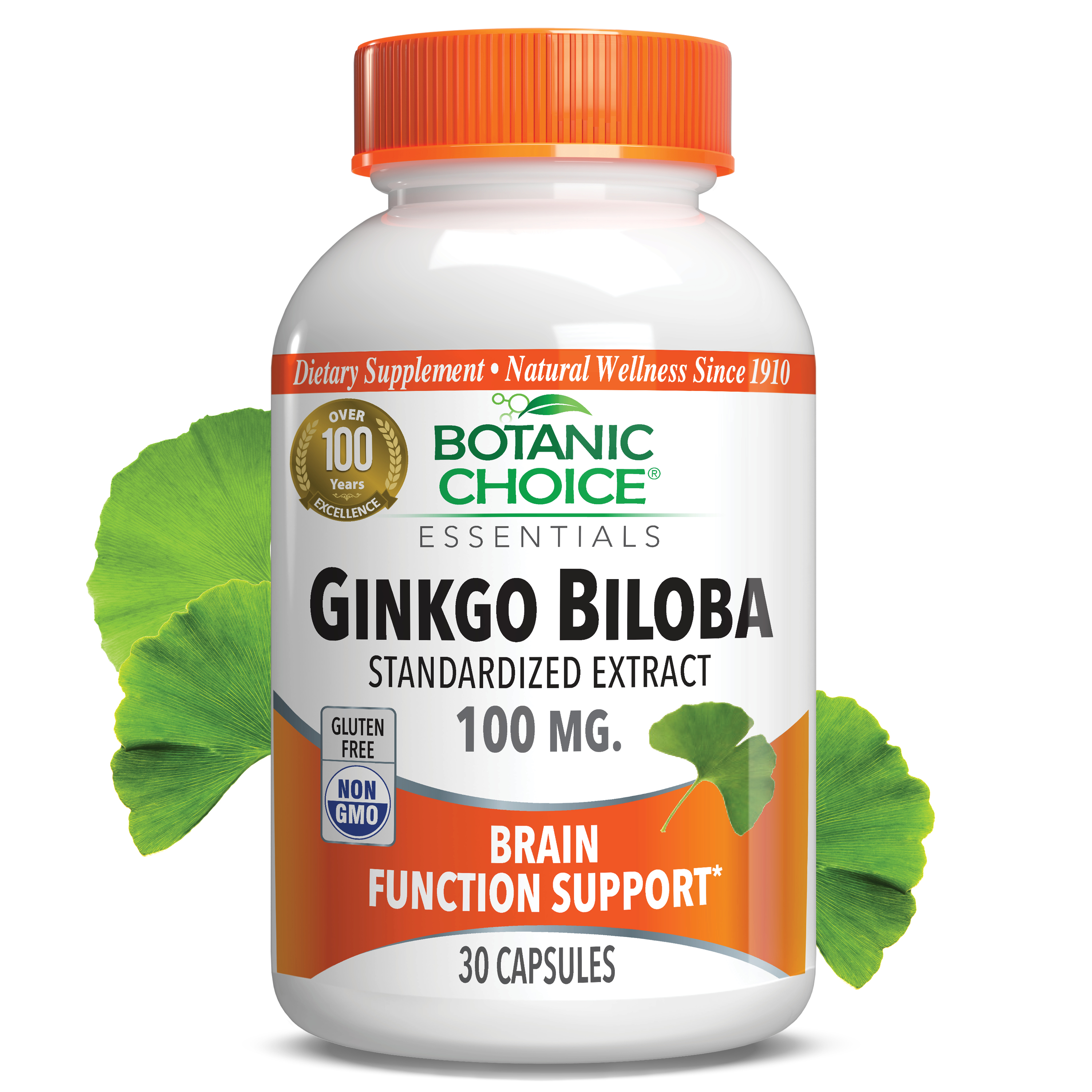 Ginkgo Biloba 100 mg - Memory Support Supplement - 30 Capsules