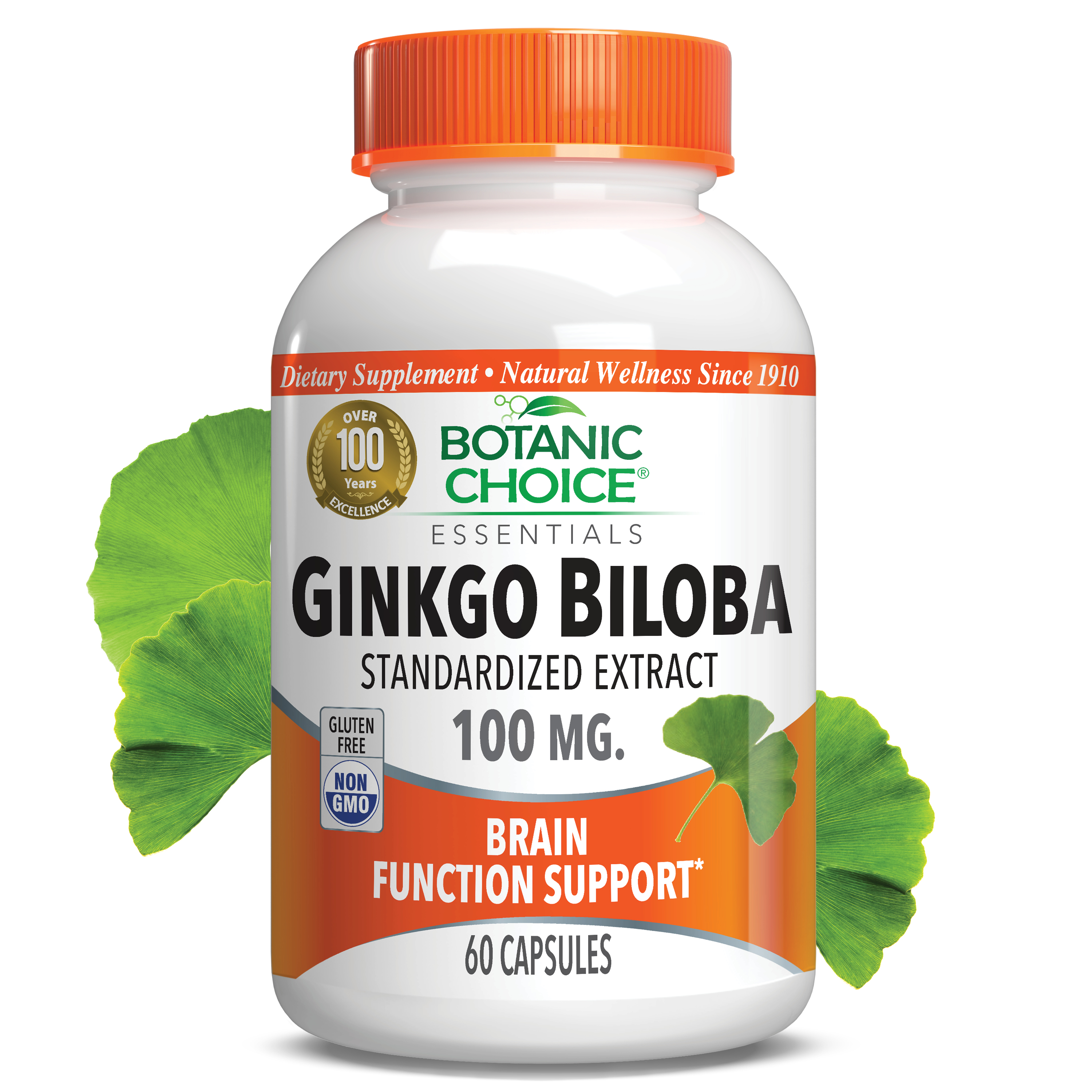 Ginkgo Biloba Extract 100 mg - Memory Support Supplement - 60 Capsules
