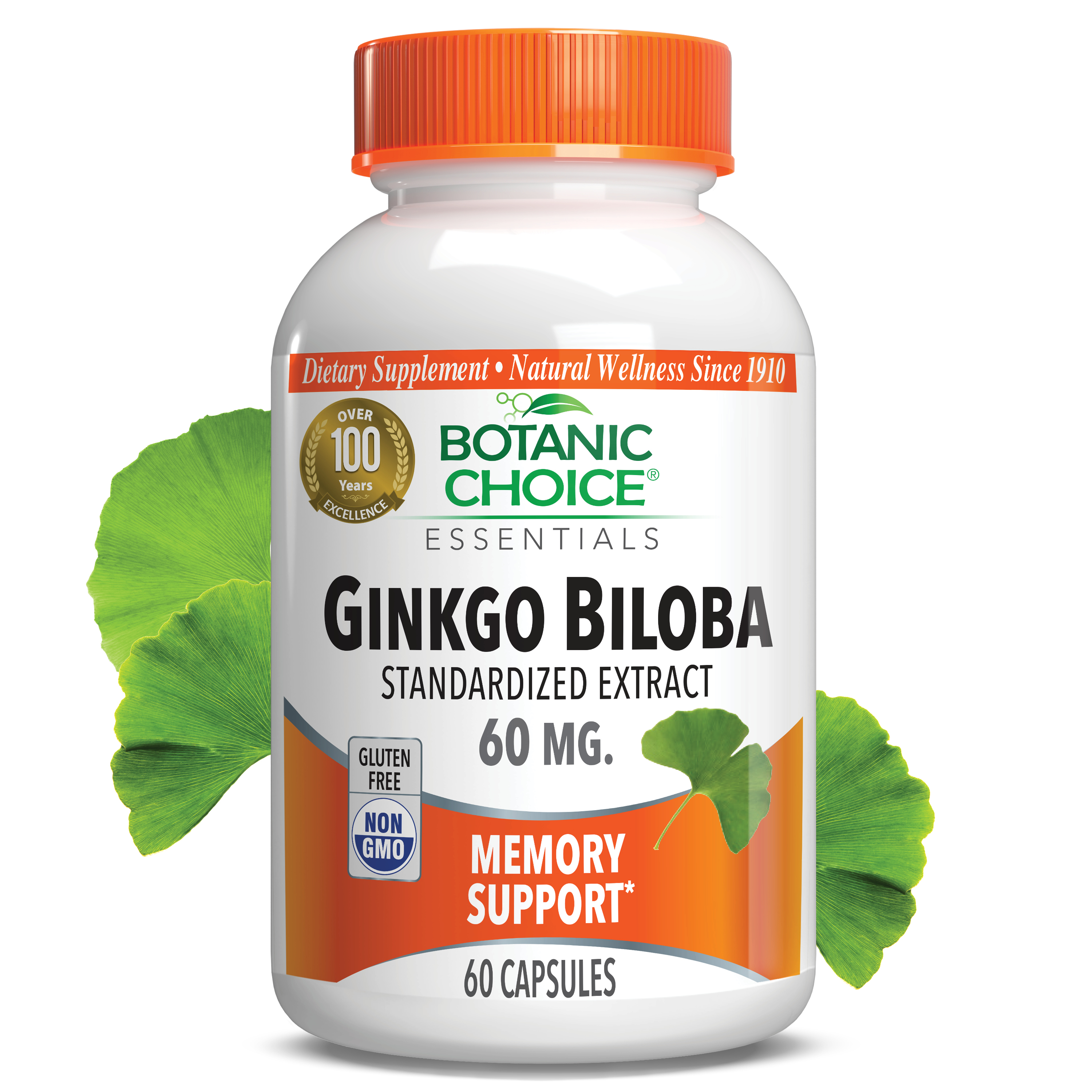Ginkgo Biloba Extract 60 mg - Memory Support Supplement - 60 Capsules