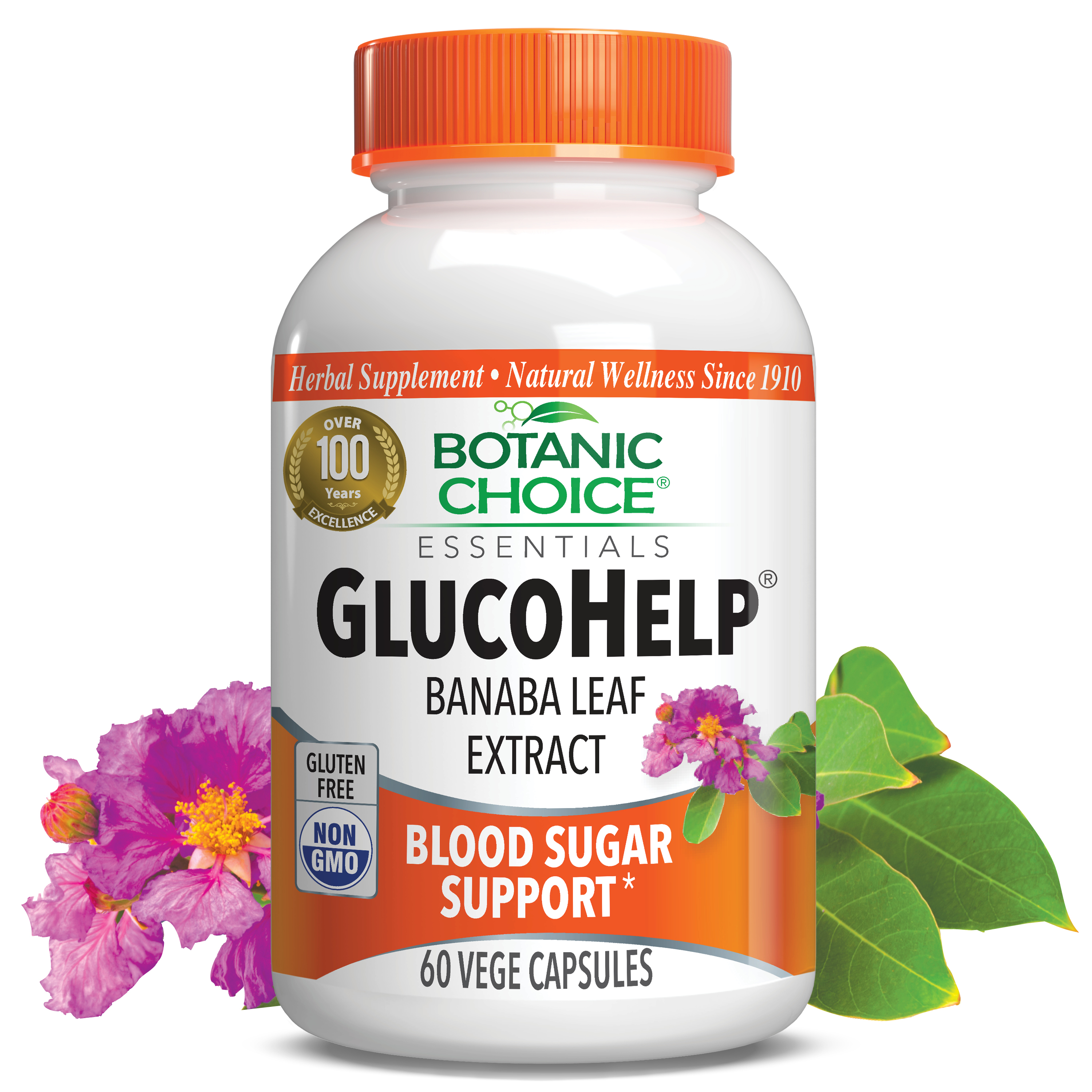 GlucoHelp Banaba Extract - Blood Sugar Support Supplement - 60 Capsules