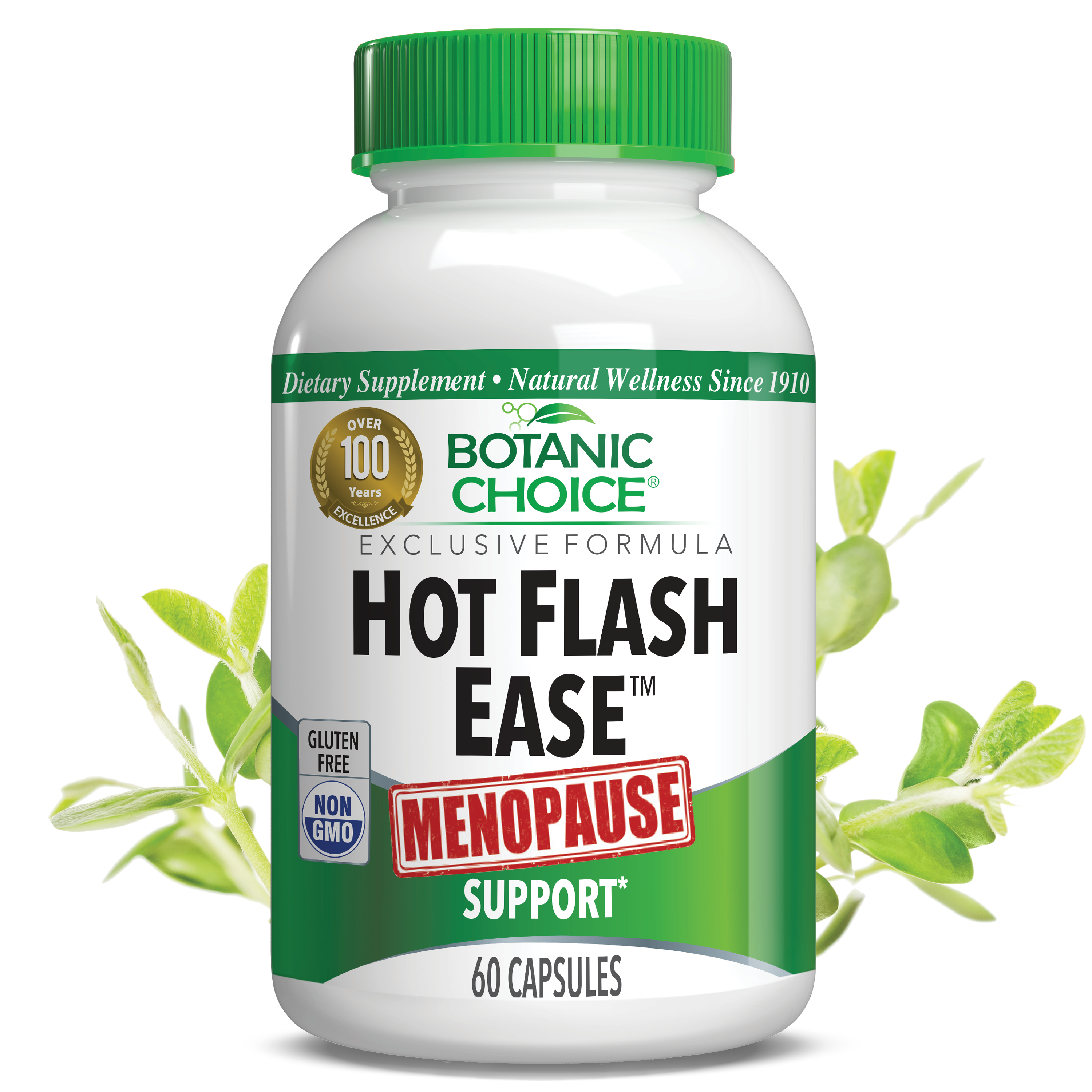 Hot Flash Ease™ - Menopause Support Supplement - 60 Capsules
