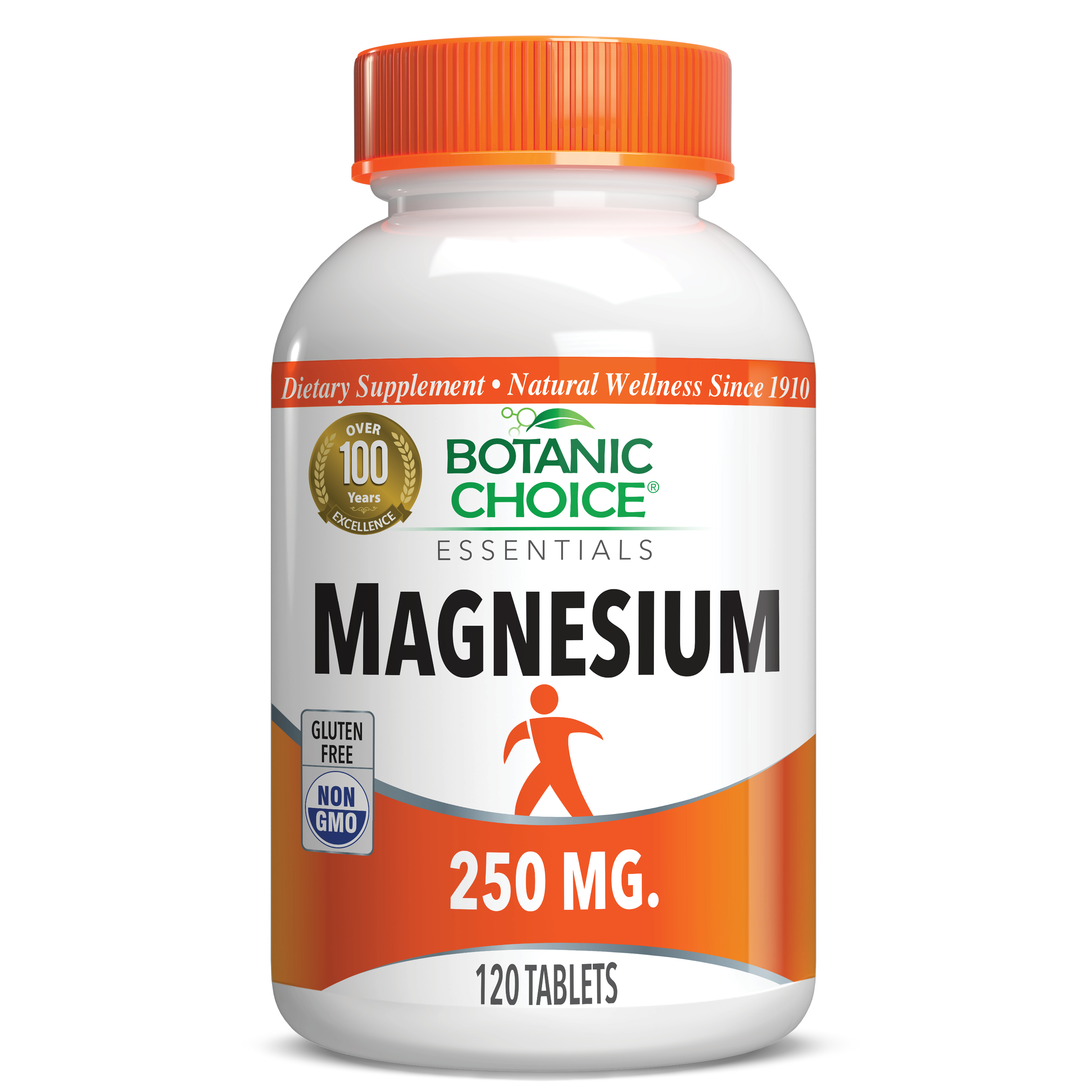 Magnesium - 120 Tablets