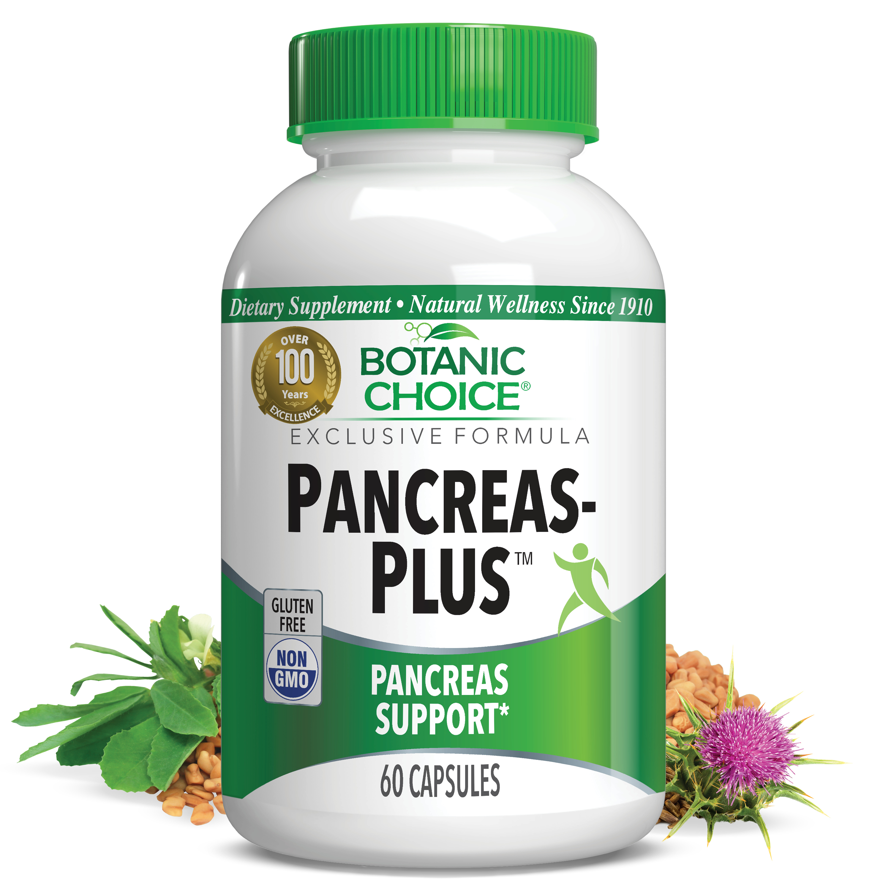 Pancreas-Plus™ - Blood Sugar Support Supplement - 60 Capsules