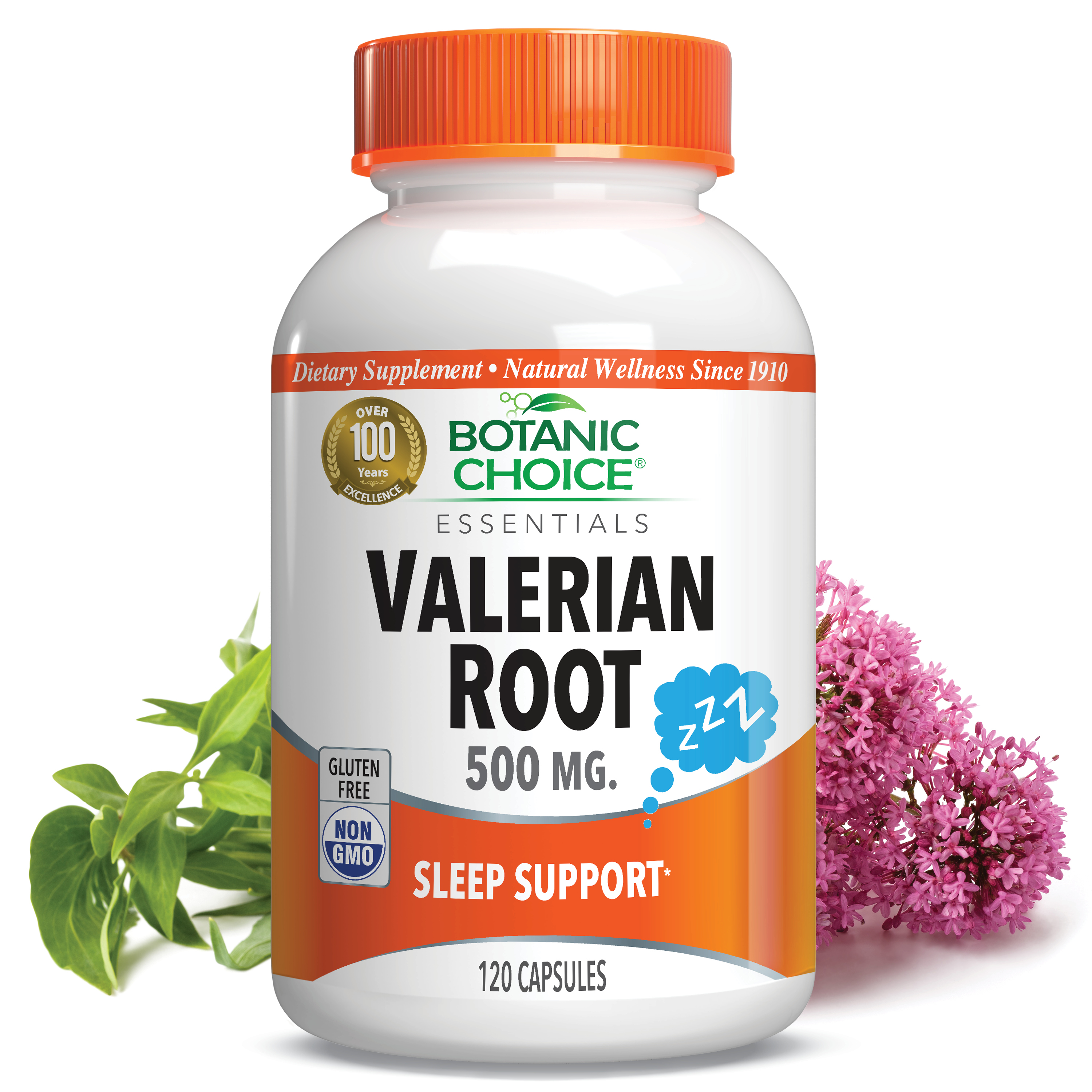 Valerian Root - Nighttime Support Supplement - 120 Capsules