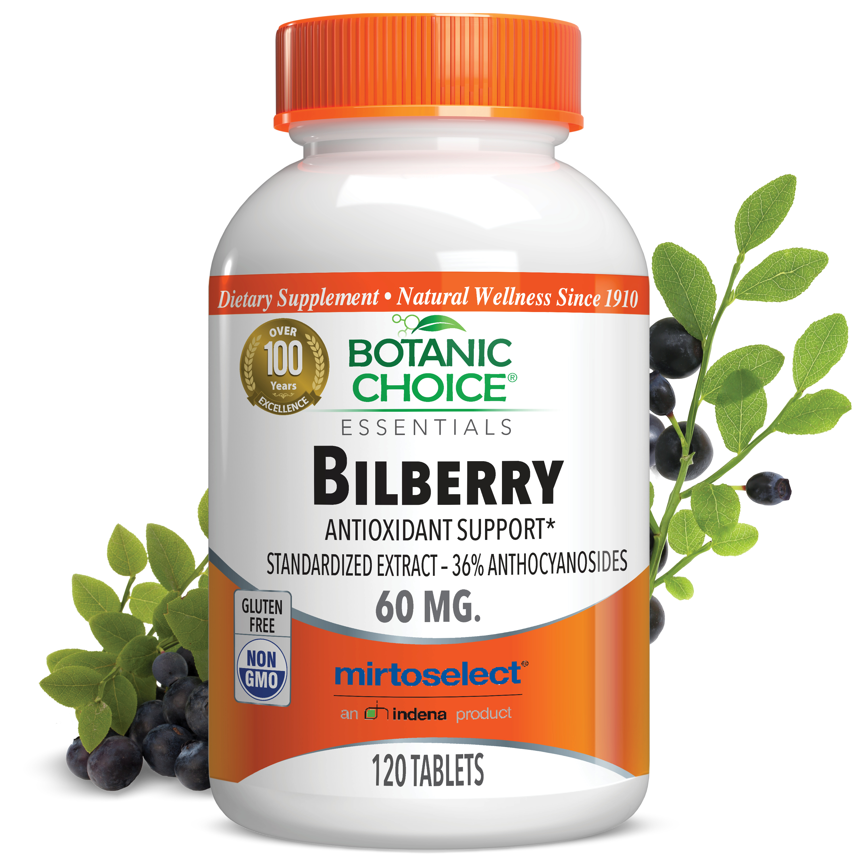 Bilberry Extract Standardized for 36% Anthocyanosides - 120 Tablets