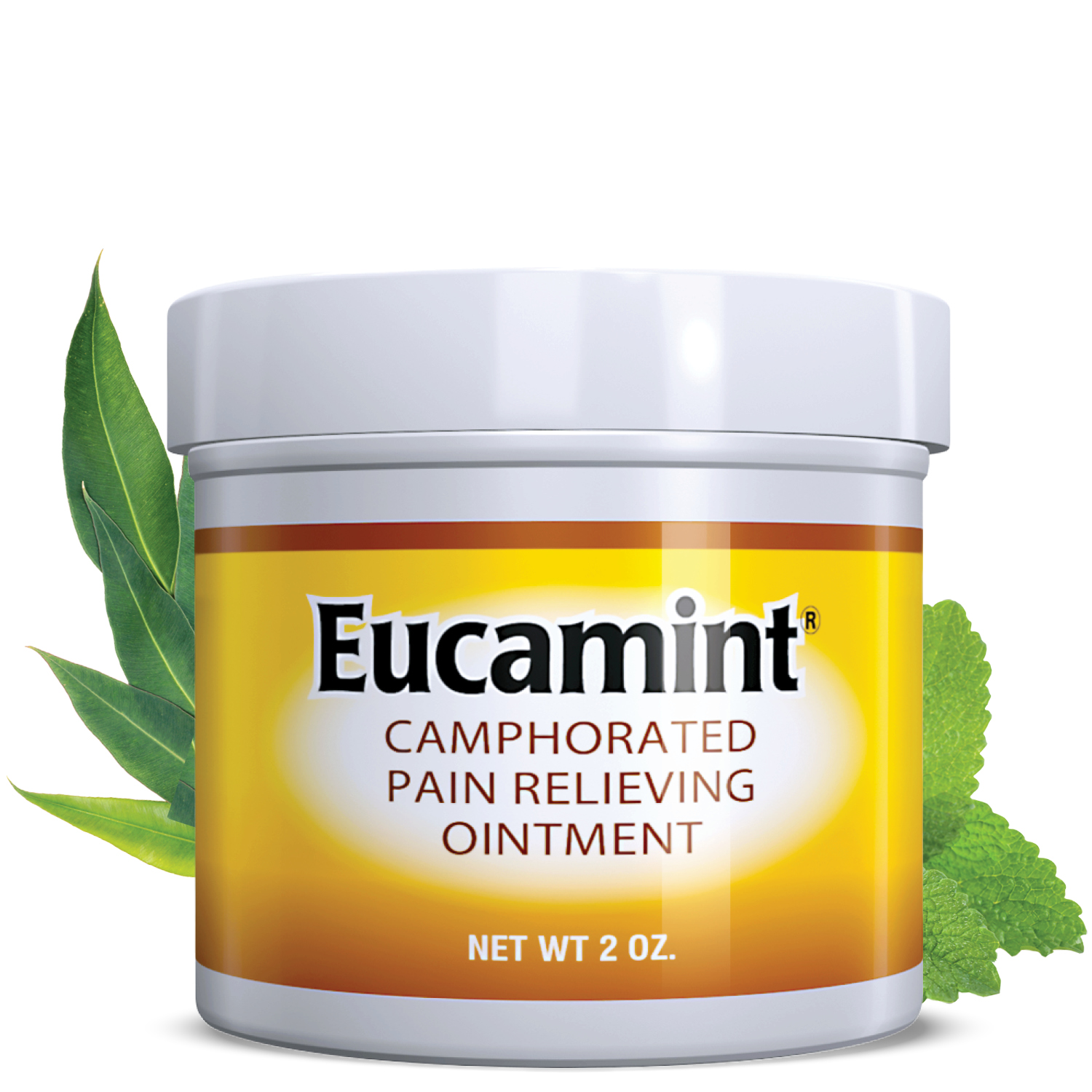 Eucamint® Pain Relievers - 2 Oz