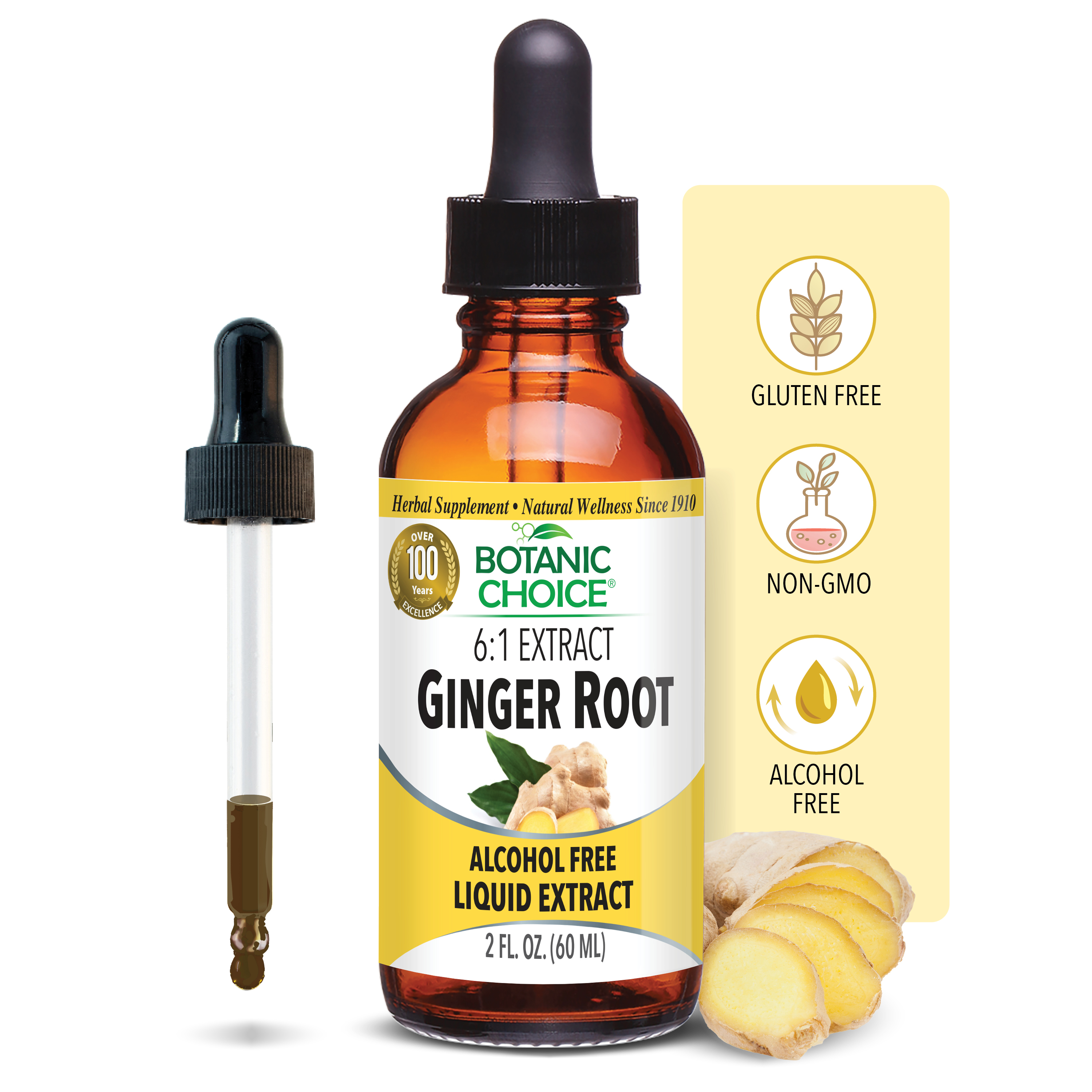 Ginger Root Liquid Extract - General Health Support - 1 Oz