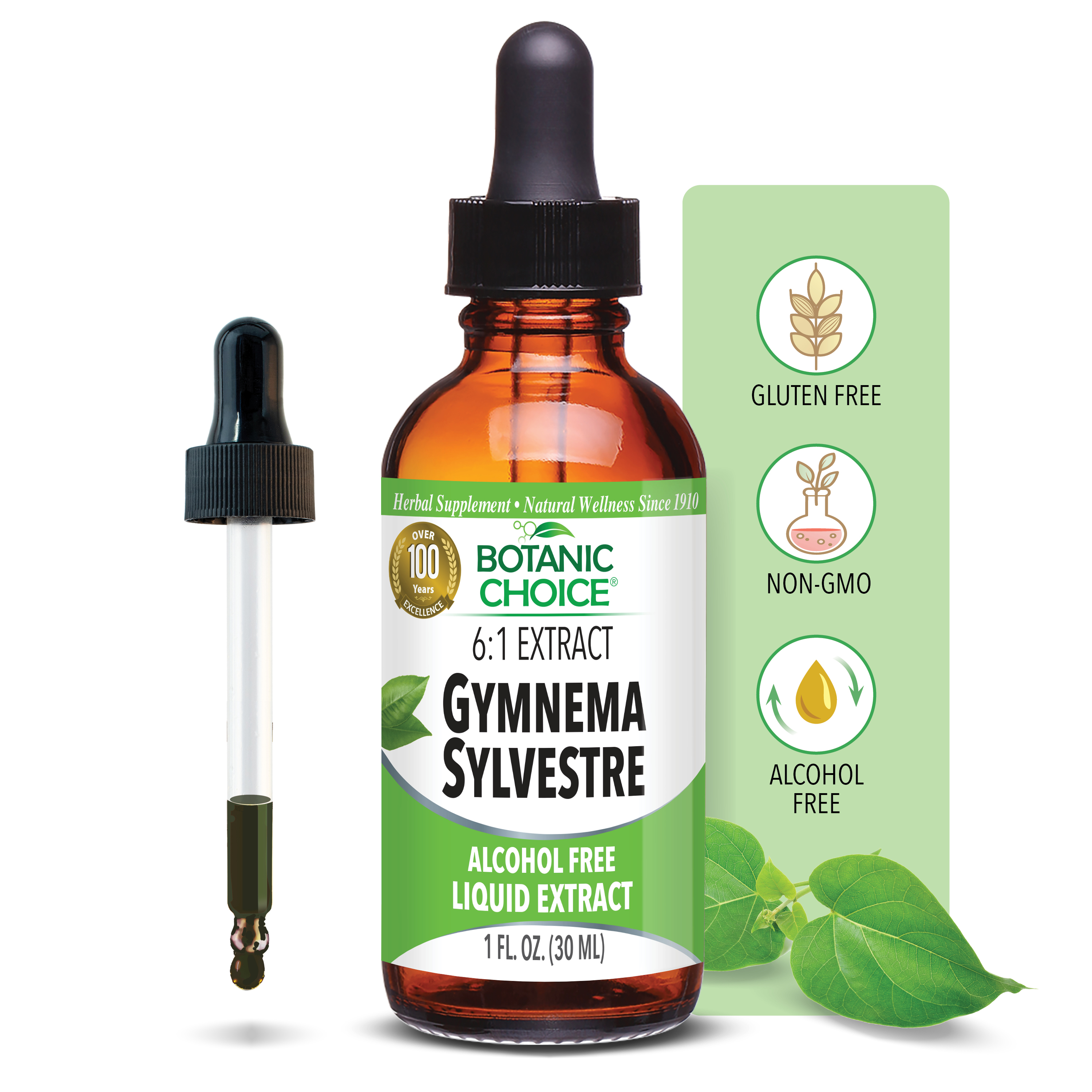 Gymnema Sylvestre Liquid Extract - Blood Sugar Support Supplement - 1 Oz