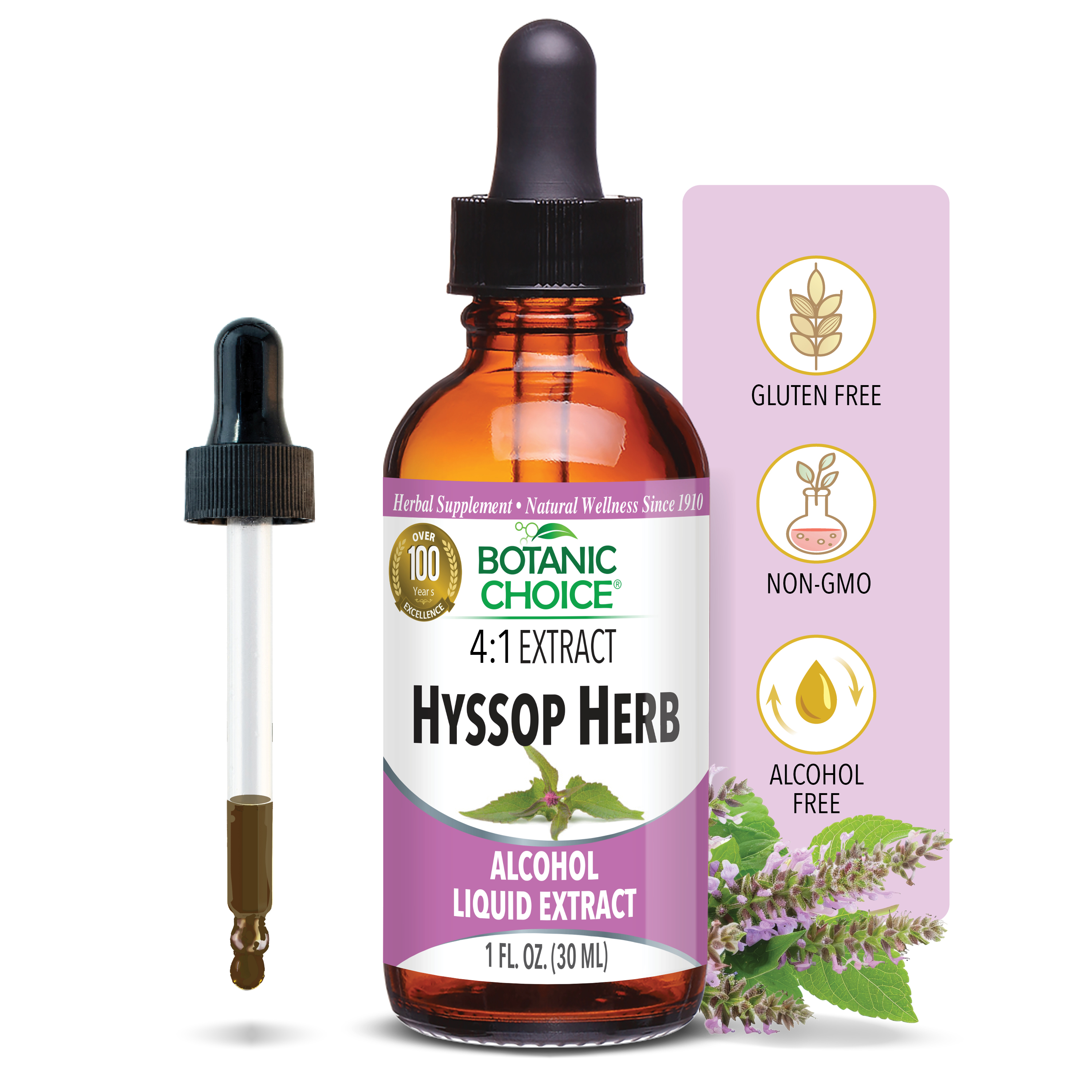 Hyssop Herb Liquid Extract - Respiratory Health Support - 1 Oz