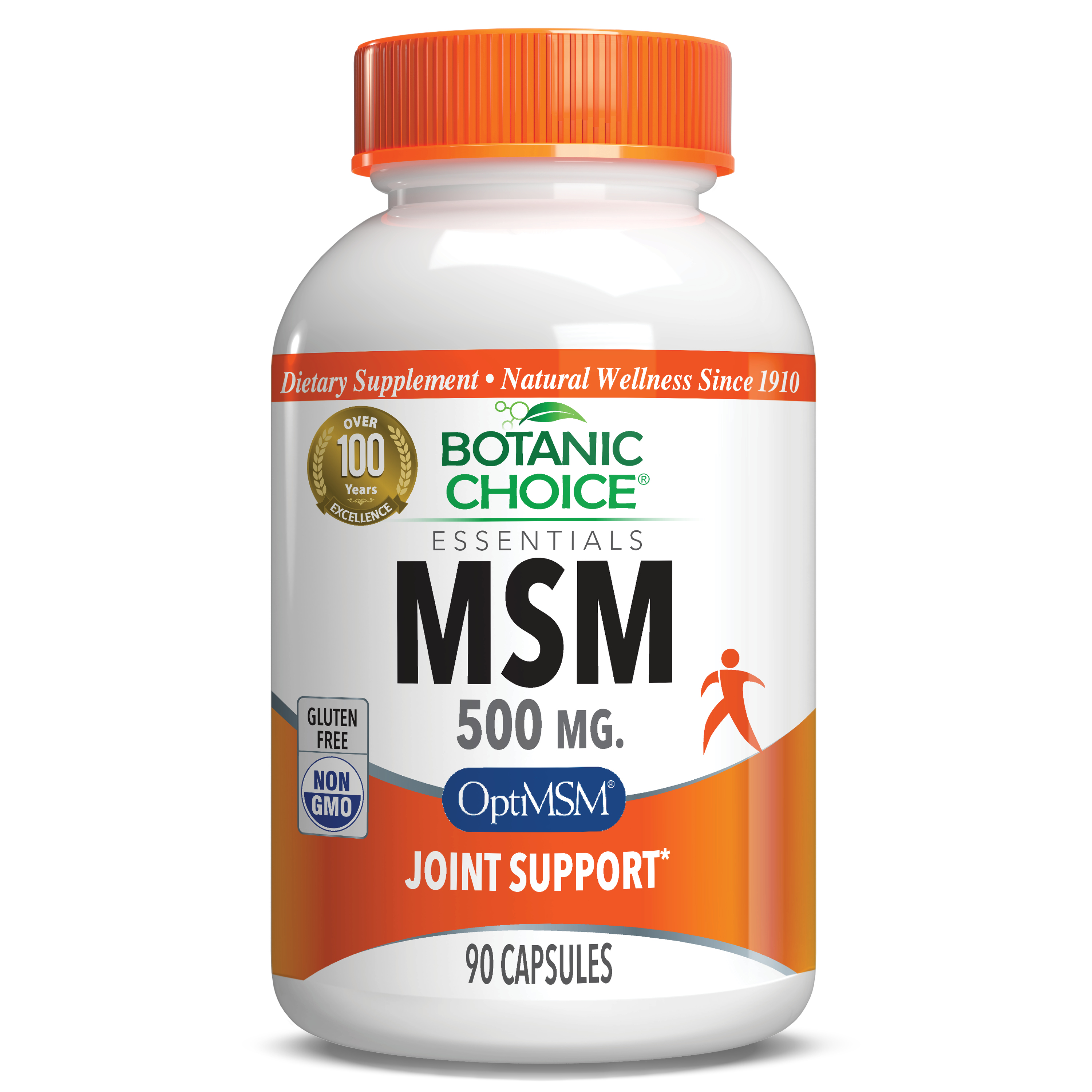 MSM 500 mg - Joint Support Supplement - 90 Capsules