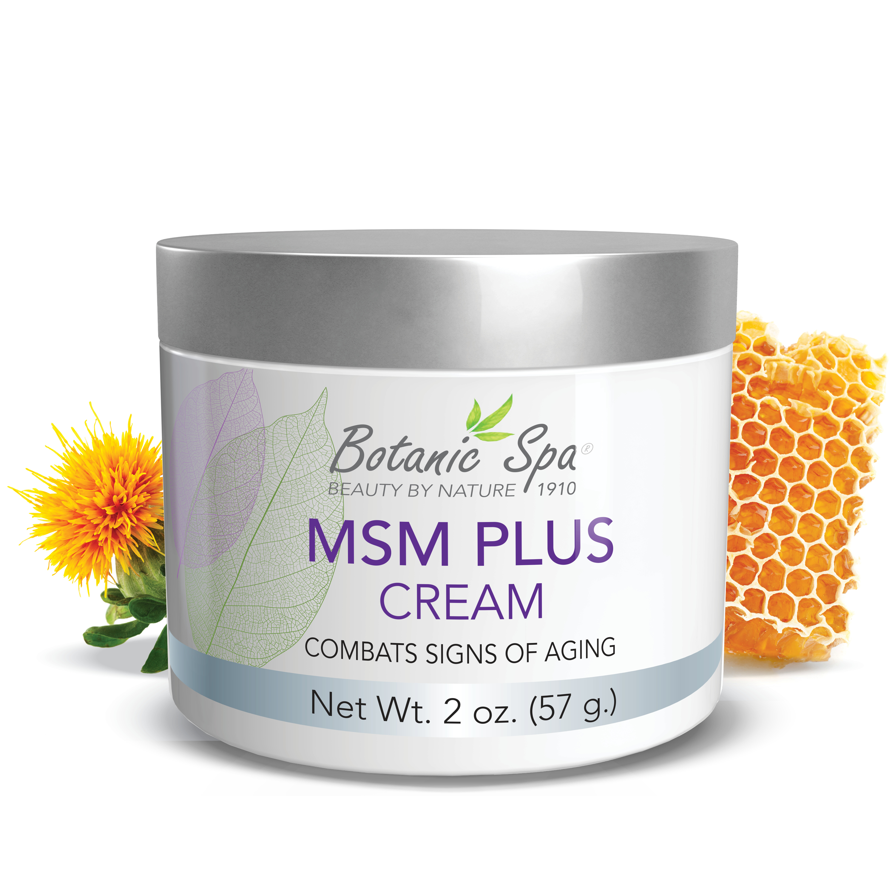 MSM Plus Cream - 2 Oz