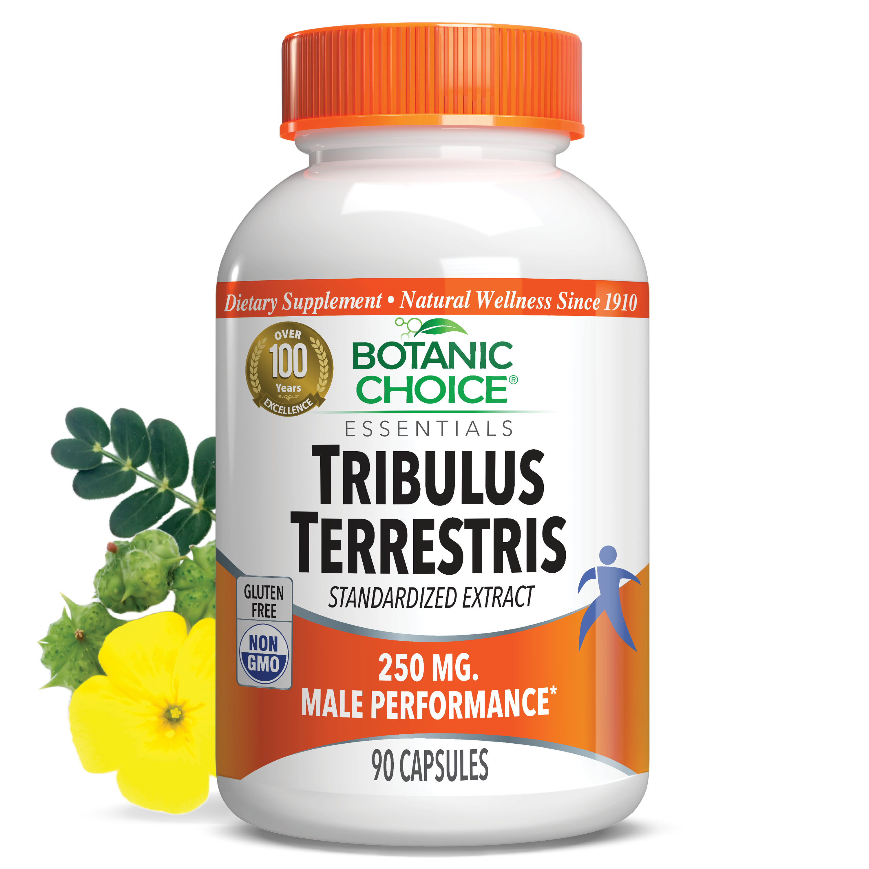 Tribulus Terrestris 250 mg - 90 Capsules