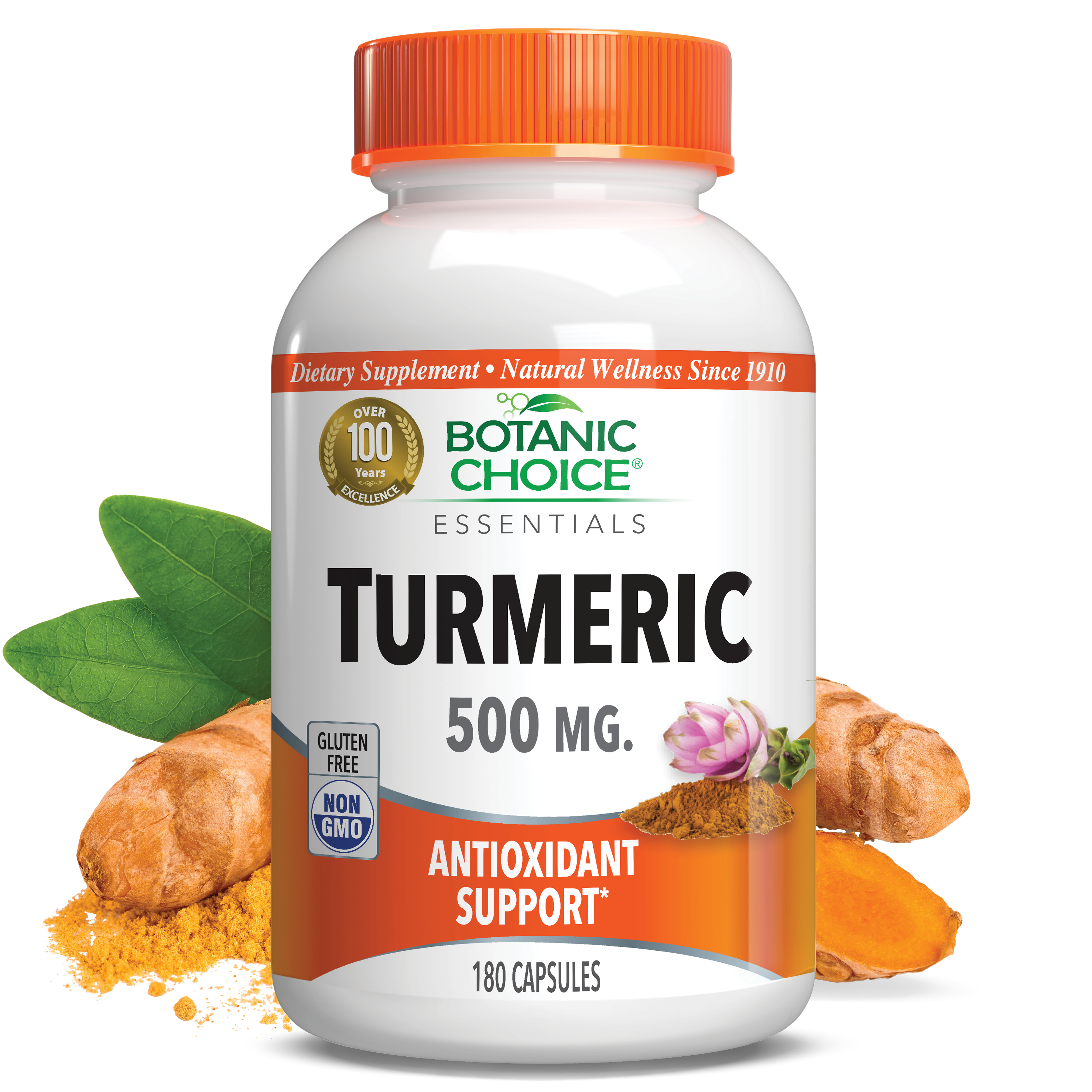 Turmeric 500 mg - Joint Support Supplement - 180 Capsules