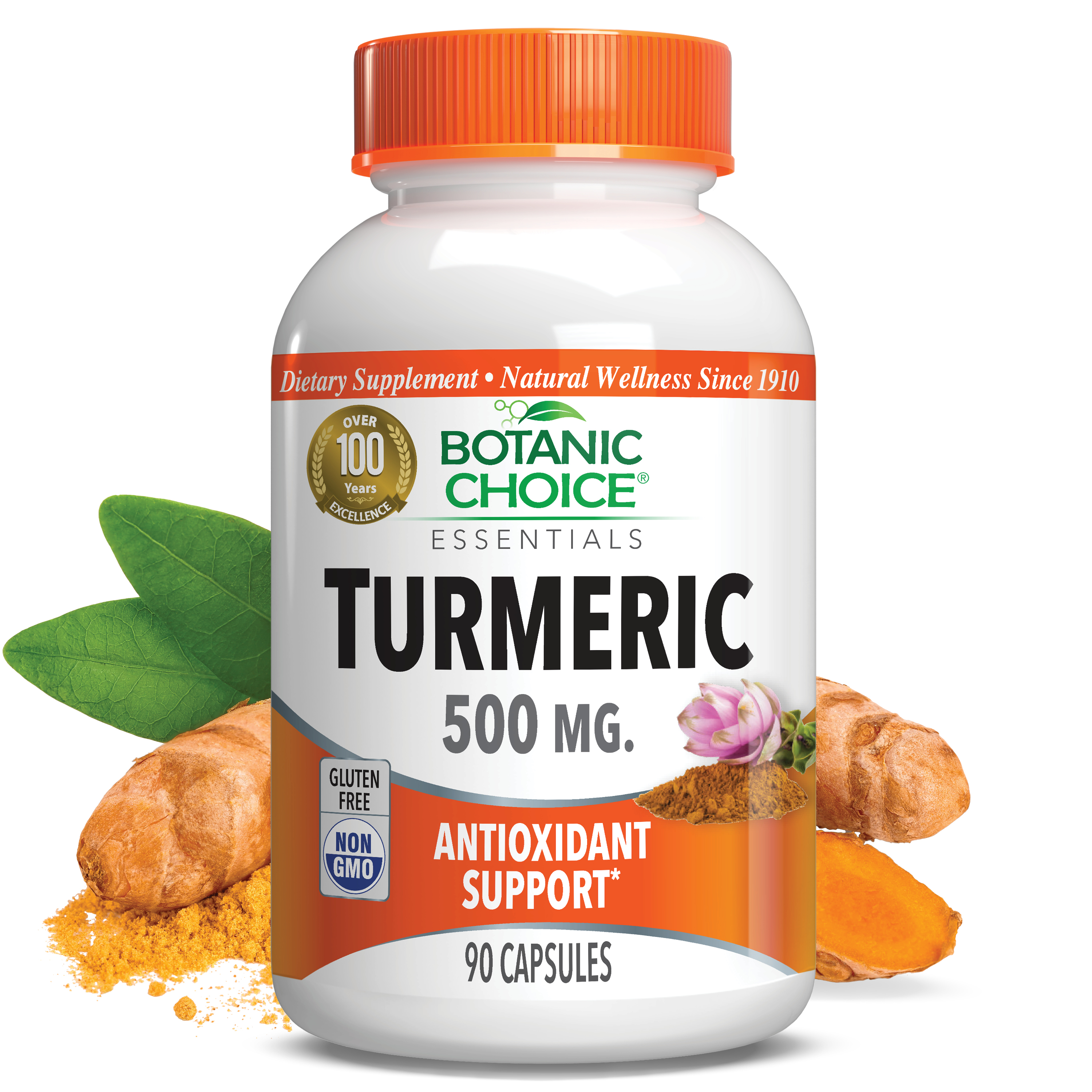 Turmeric 500 mg - Joint Support Supplement - 90 Capsules