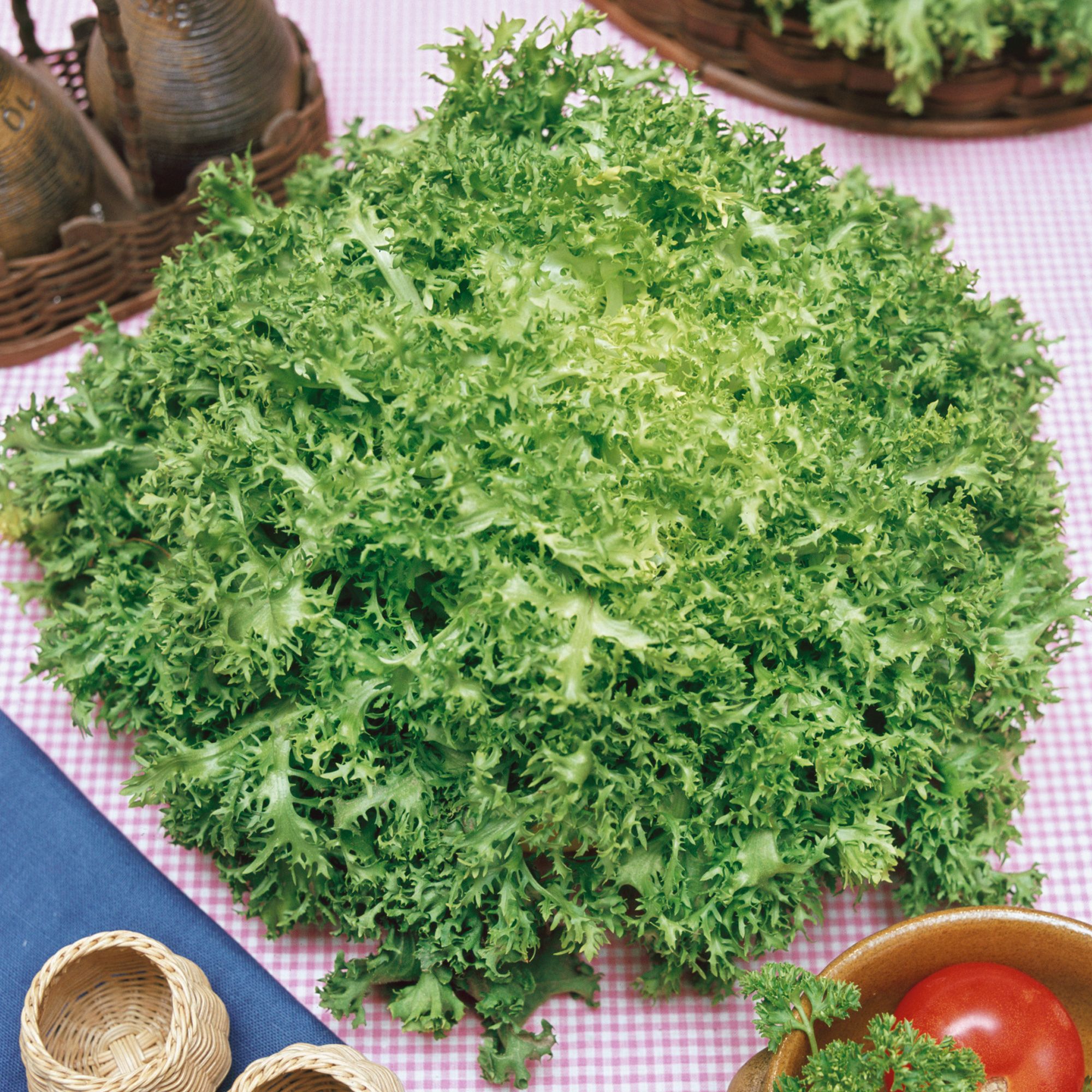 Organic Frisee Endive Seeds - 1 Oz - Gardening - Non-GMO, Heirloom
