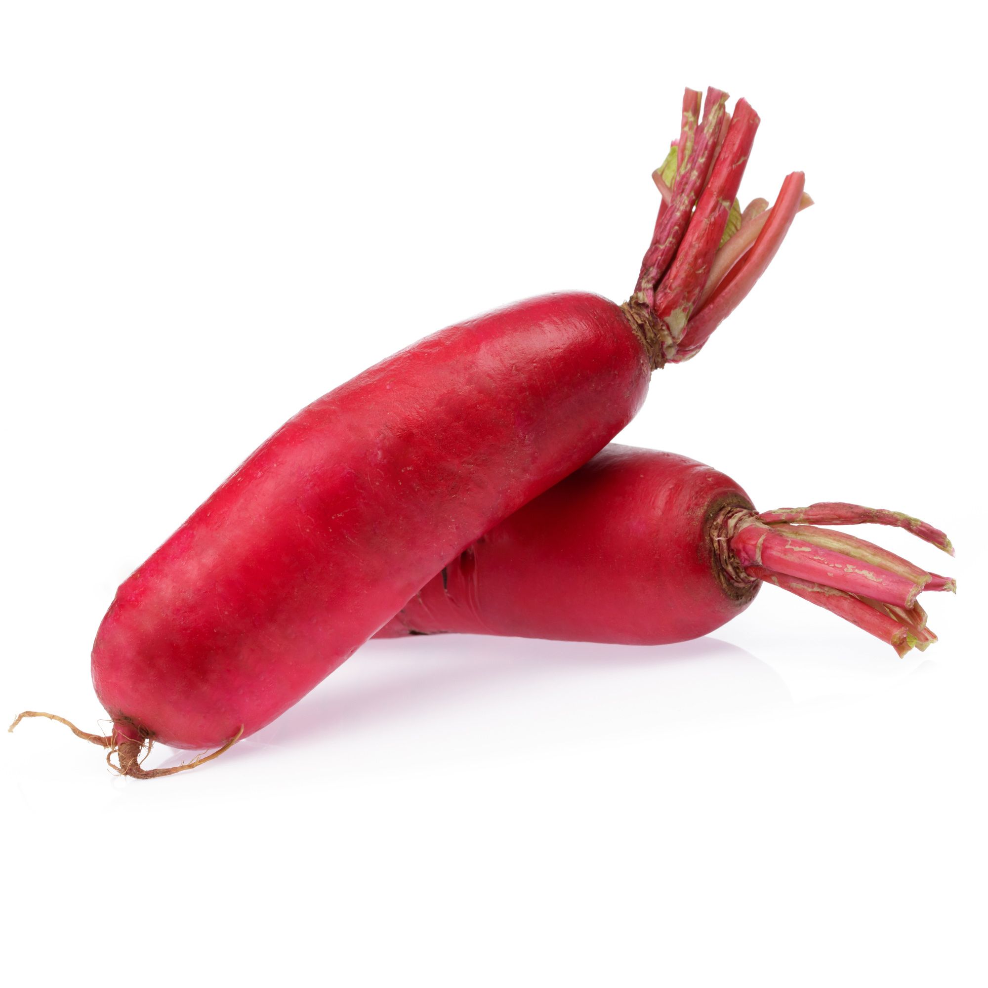 Radish Seeds - Fire Candle - 5 Lb ~214,000 Seeds - Heirloom Vegetable - Buy Non-GMO Raphanus sativus Farm & Gardening Seeds Onli