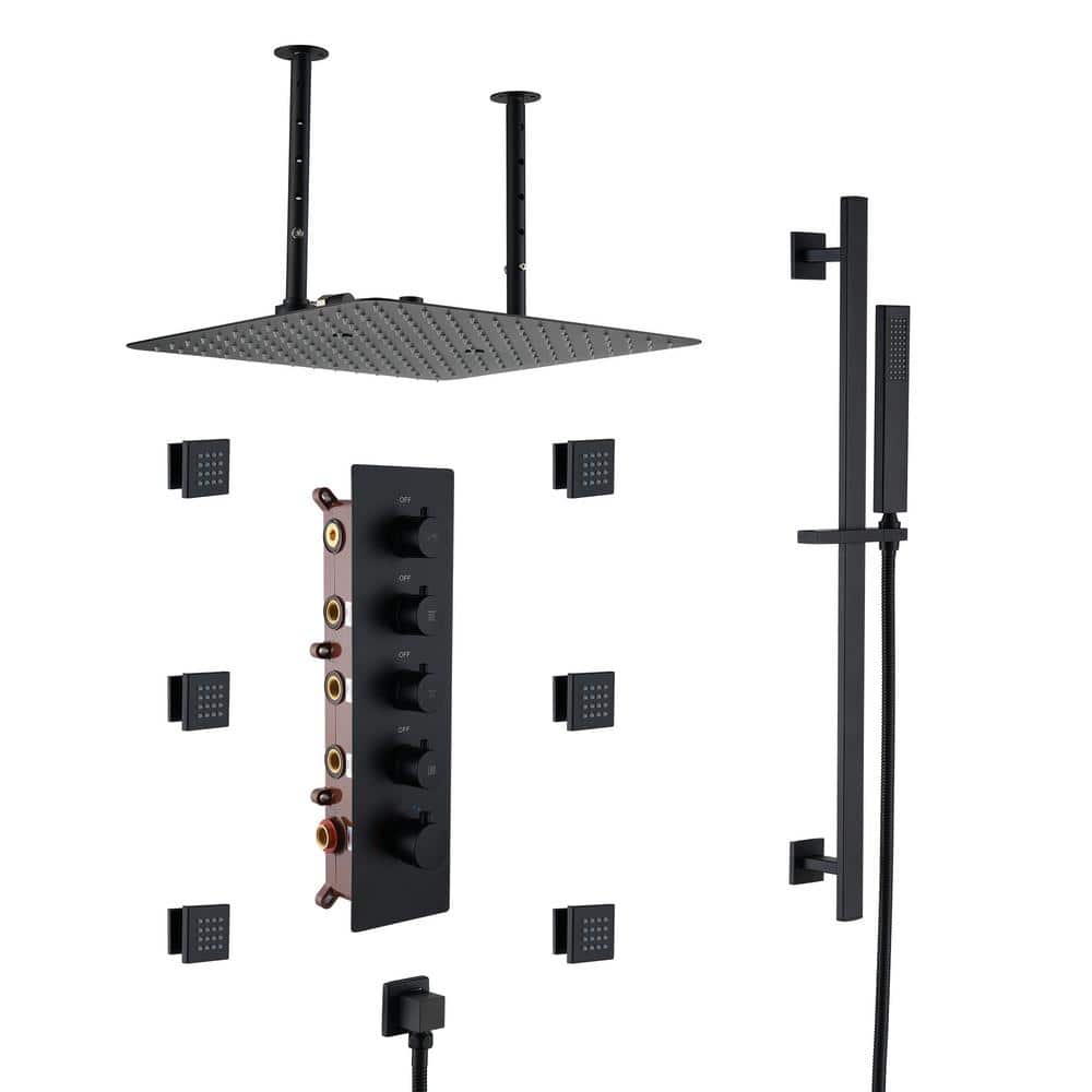 3-Spray 16 in. Ceiling Mount Dual Shower Heads and Handheld Shower Head with 2.5 GPM 6-Jet in Matte Black