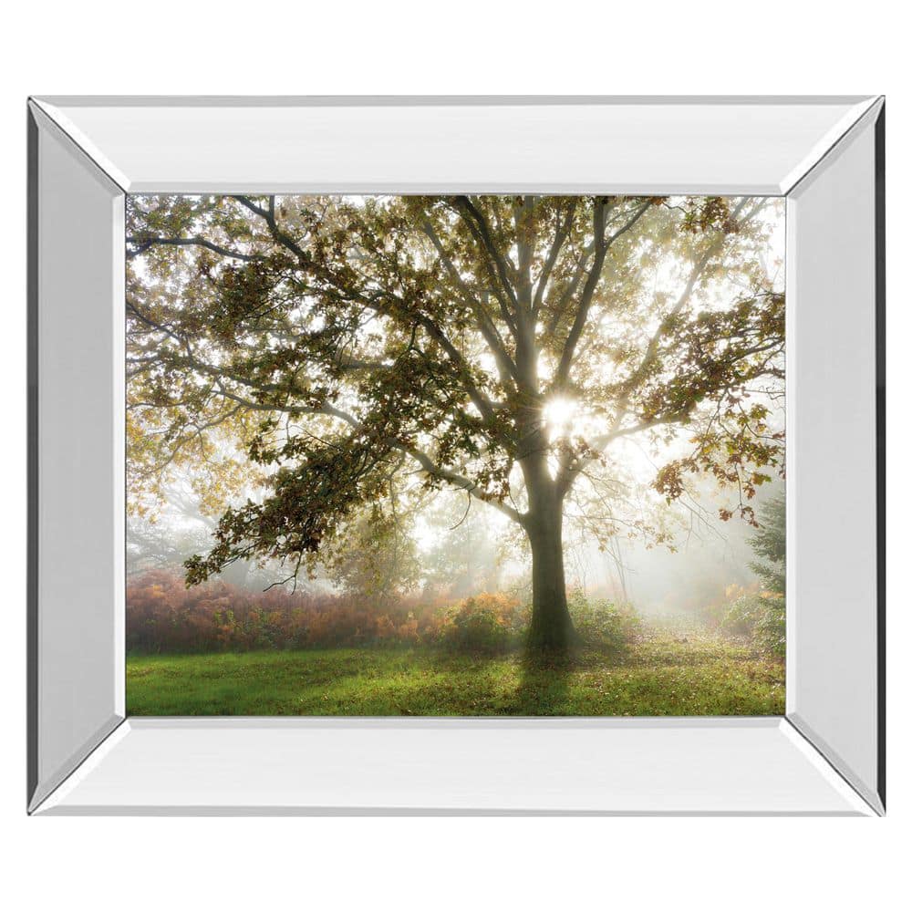 1 Piece Framed Graphic Print Nature Art Print 22 in. x 26 in.