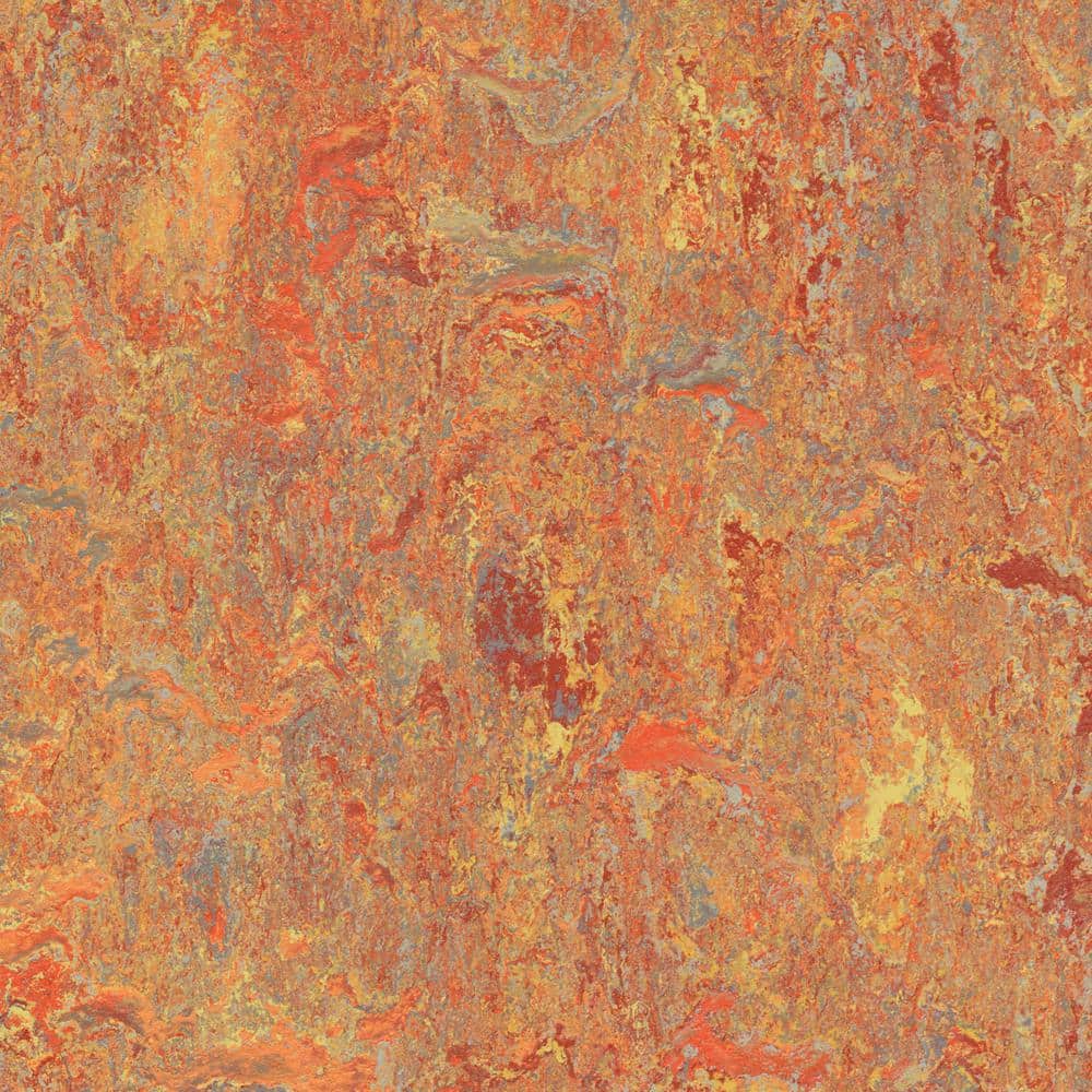Cinch Loc Seal Asian Tiger 9.8 mm T x 11.81 in. W x 35.43 in. L Laminate Flooring (20.34 sq. ft./case)