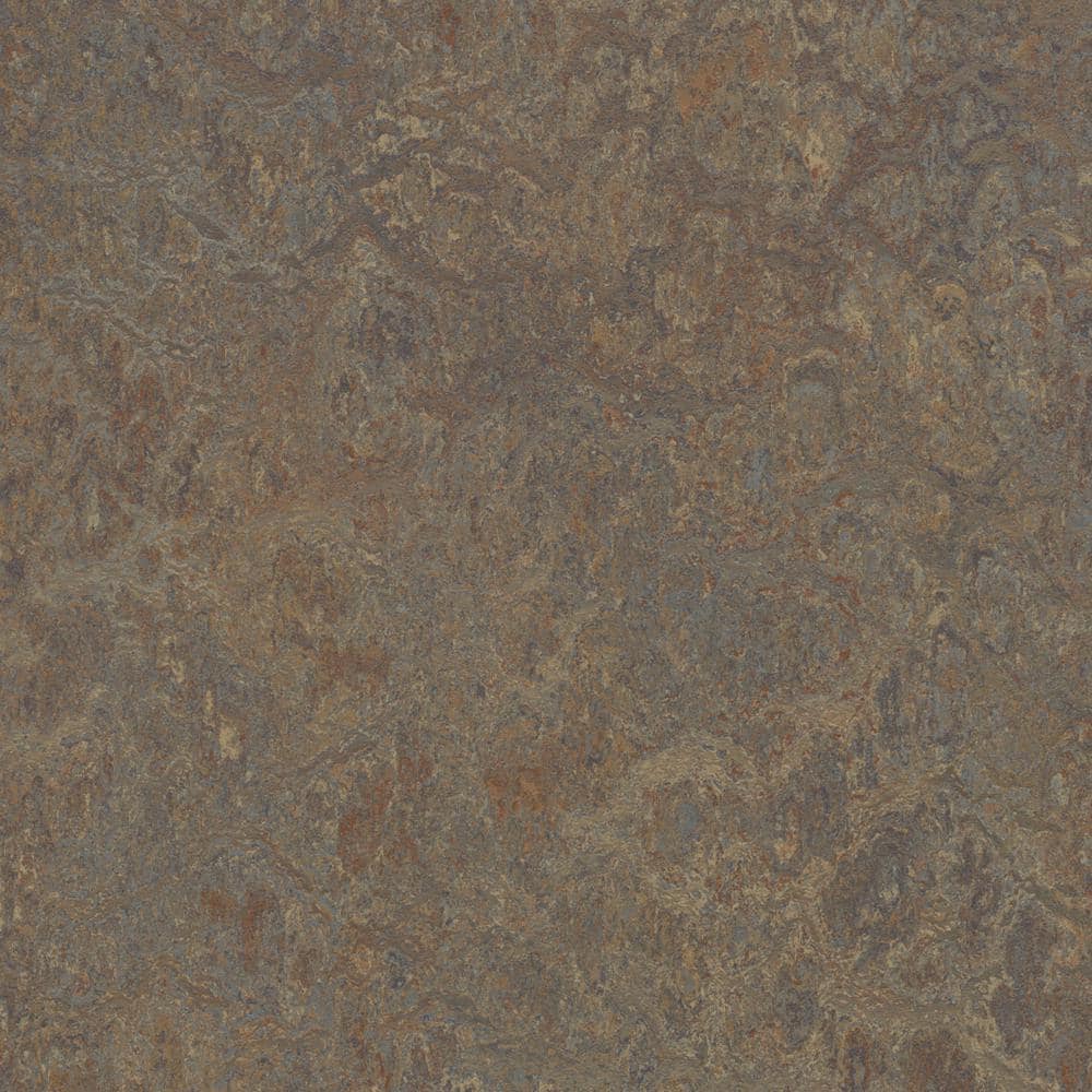 Cinch Loc Seal Cork Tree 9.8 mm T x 11.81 in. W x 35.43 in. L Laminate Flooring (20.34 sq. ft./case)