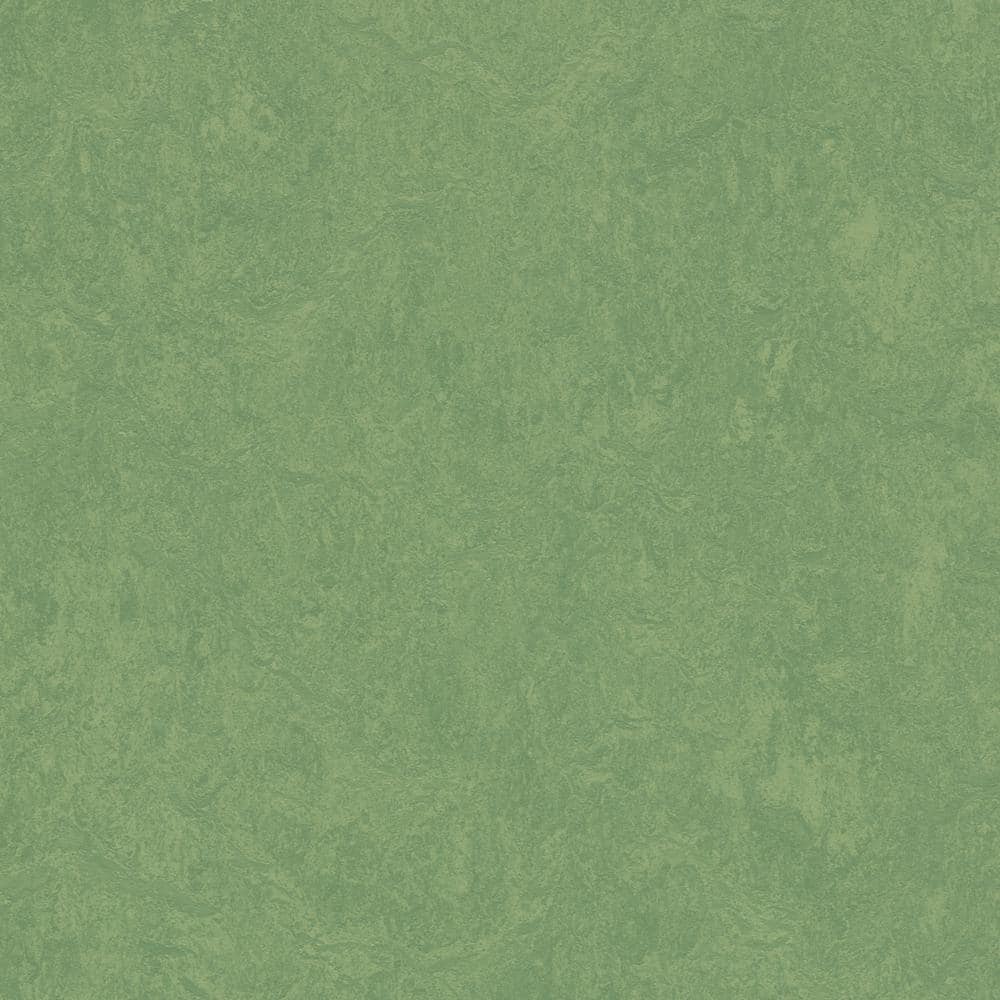 Cinch Loc Seal Leaf 9.8 mm T x 11.81 in. W x 35.43 in. L Laminate Flooring (20.34 sq. ft./case)