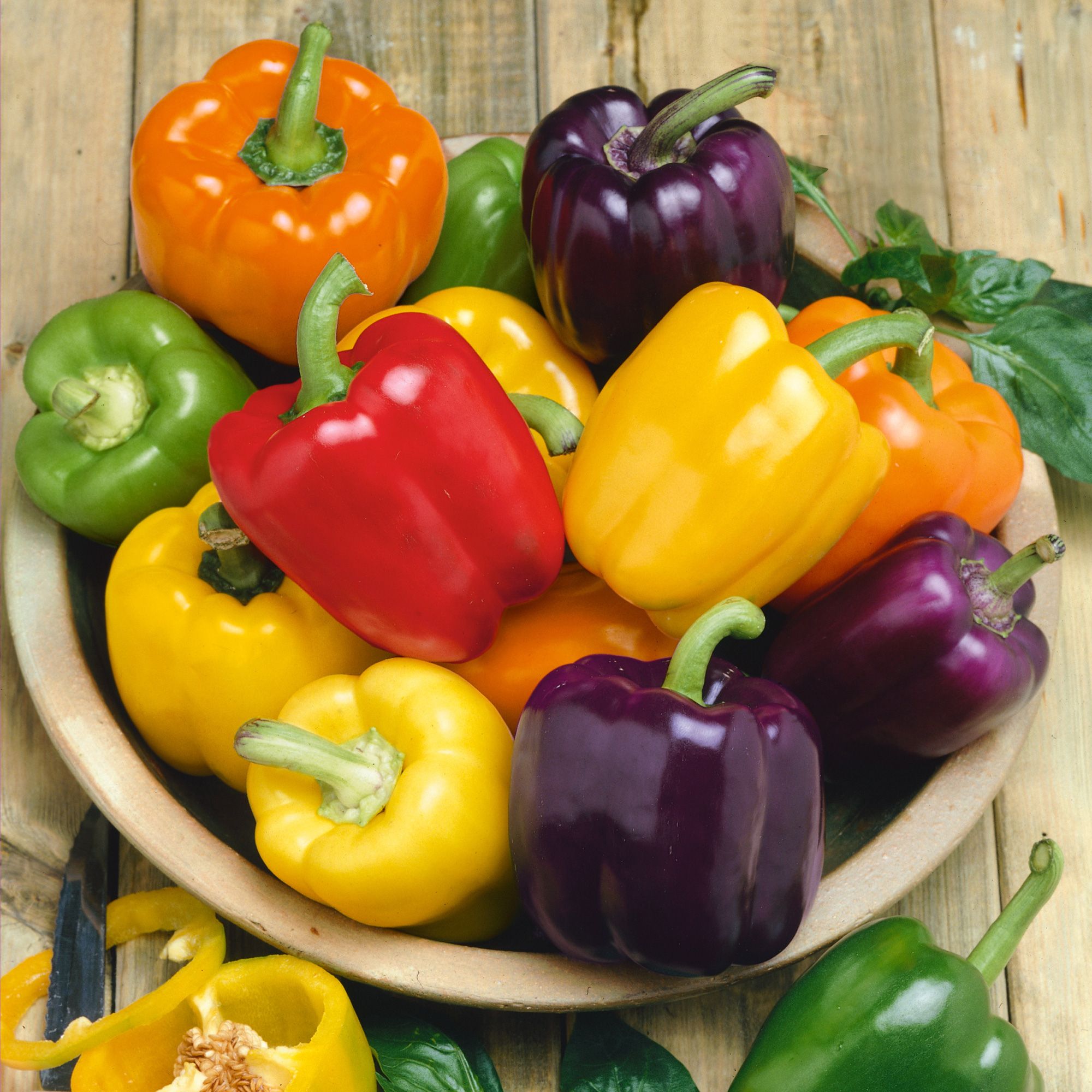 Pepper - Sweet - Rainbow Bell Blend (Organic) - 0.25 oz - Seeds - Capsicum annuum- Buy Non-GMO - Bulk Farm and Garden Seeds Onli