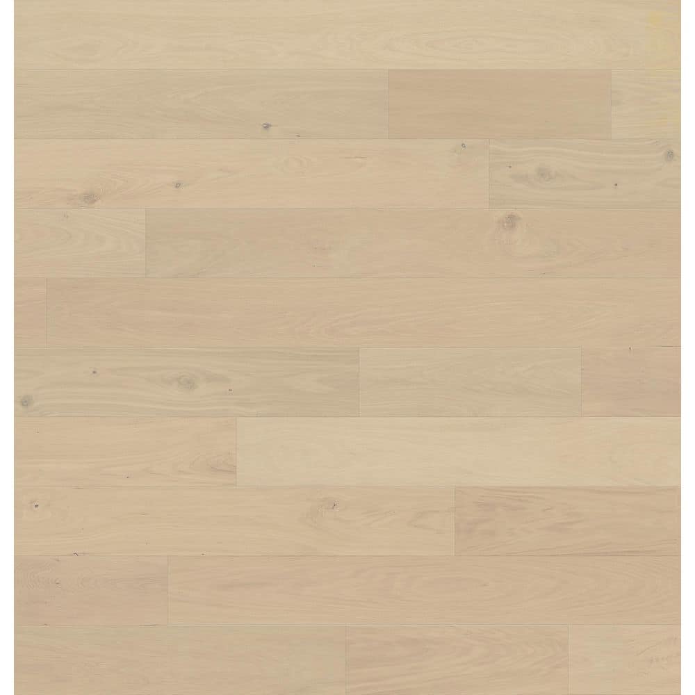 Take Home Sample - Bane White Oak Engineered Hardwood Flooring